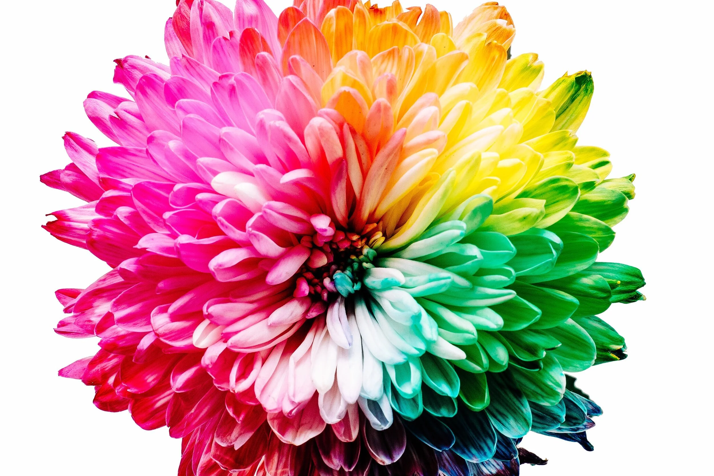 Color Personality Test 