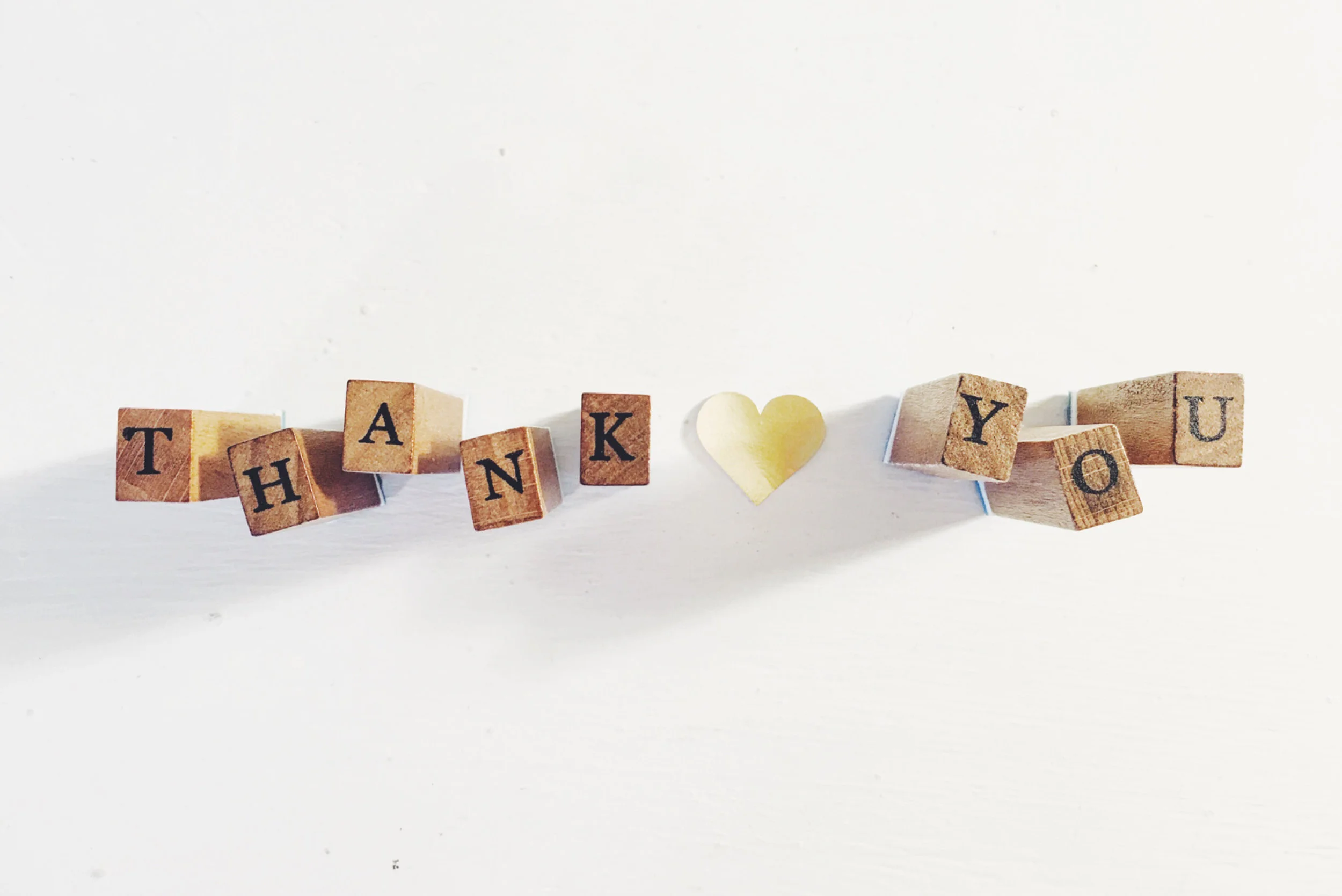 TPCO E-Team says Thank You