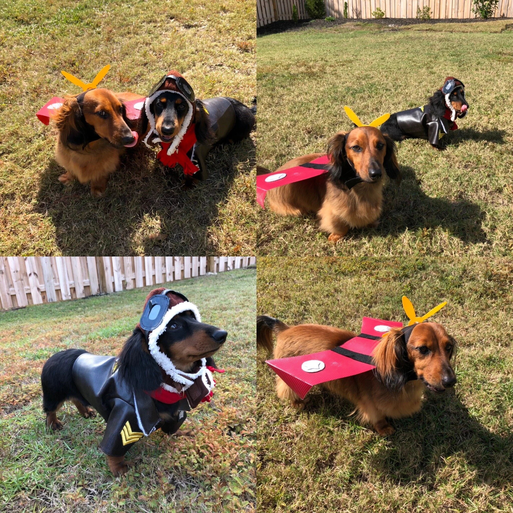 Tank and Turbo | Amanda Teague