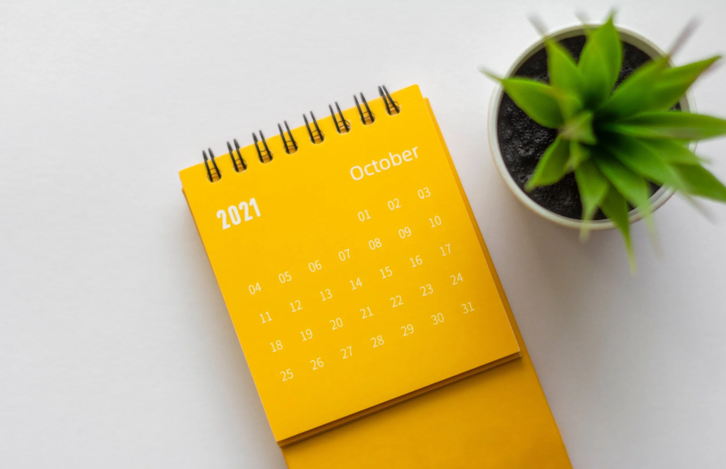 October Round Up