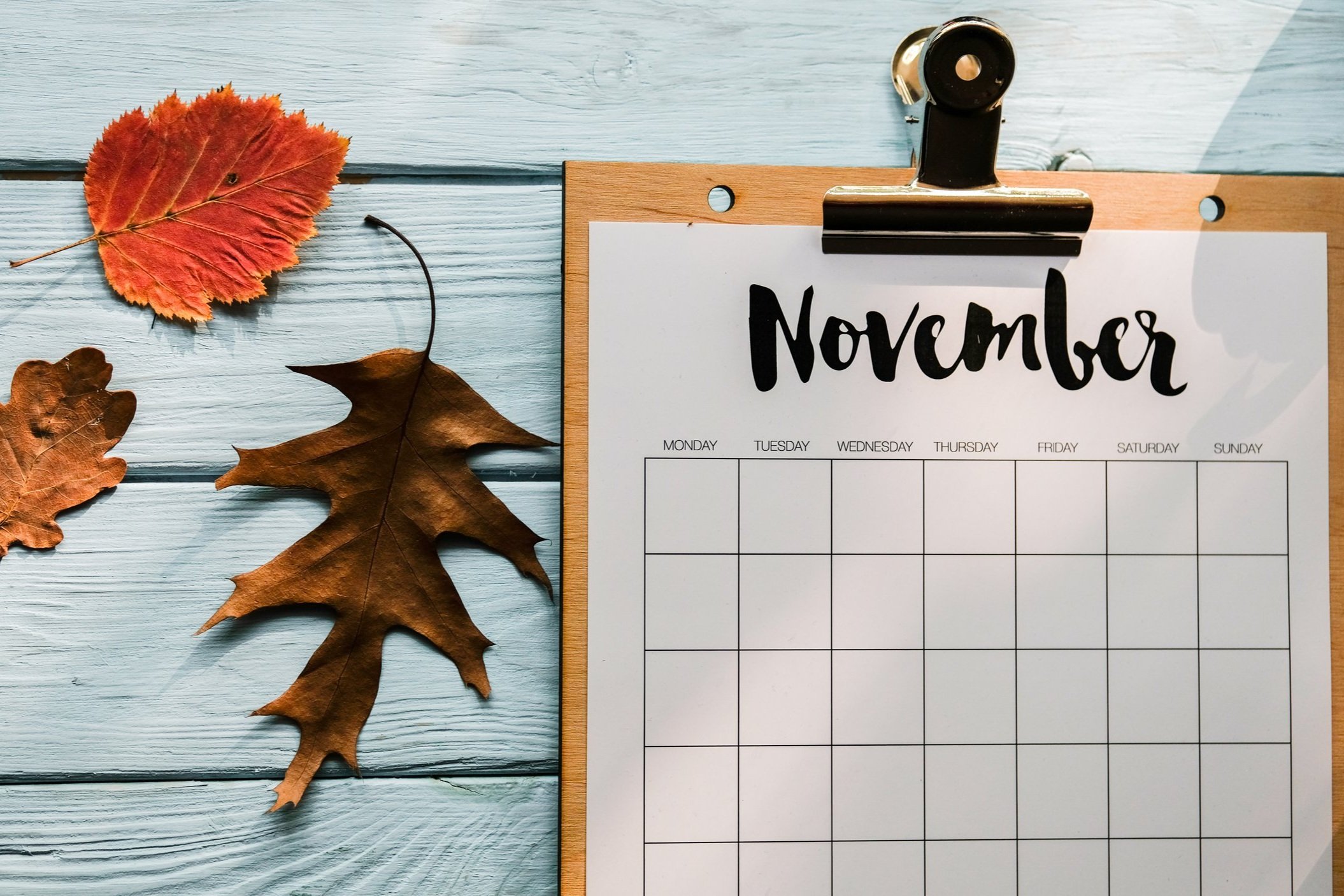 November Round Up