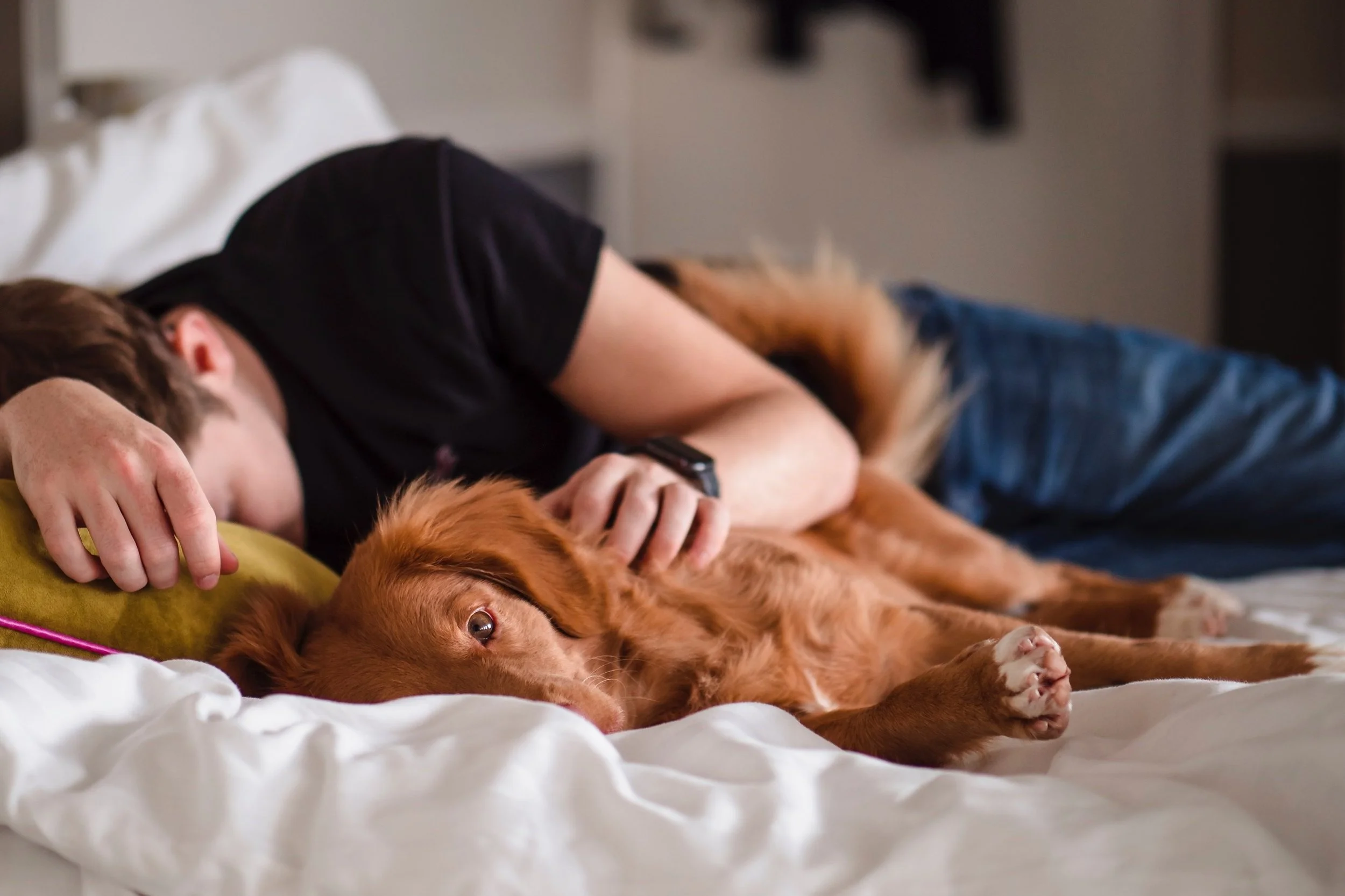 Pillars of Mental Health: Sleep