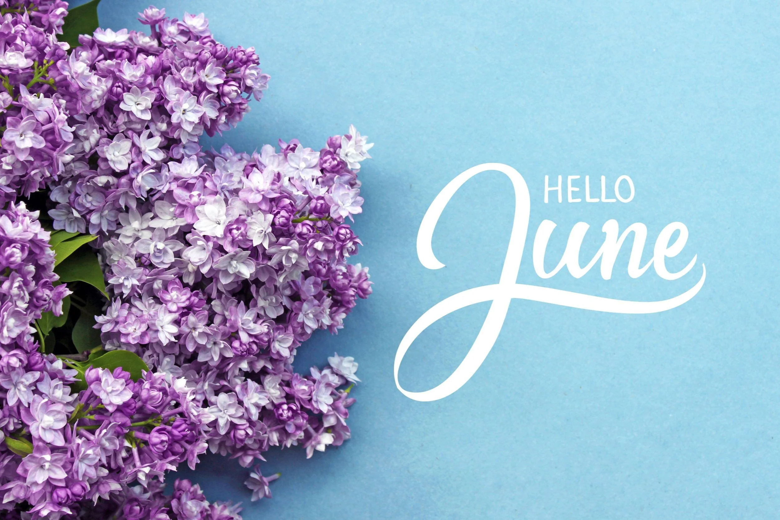 June Round Up