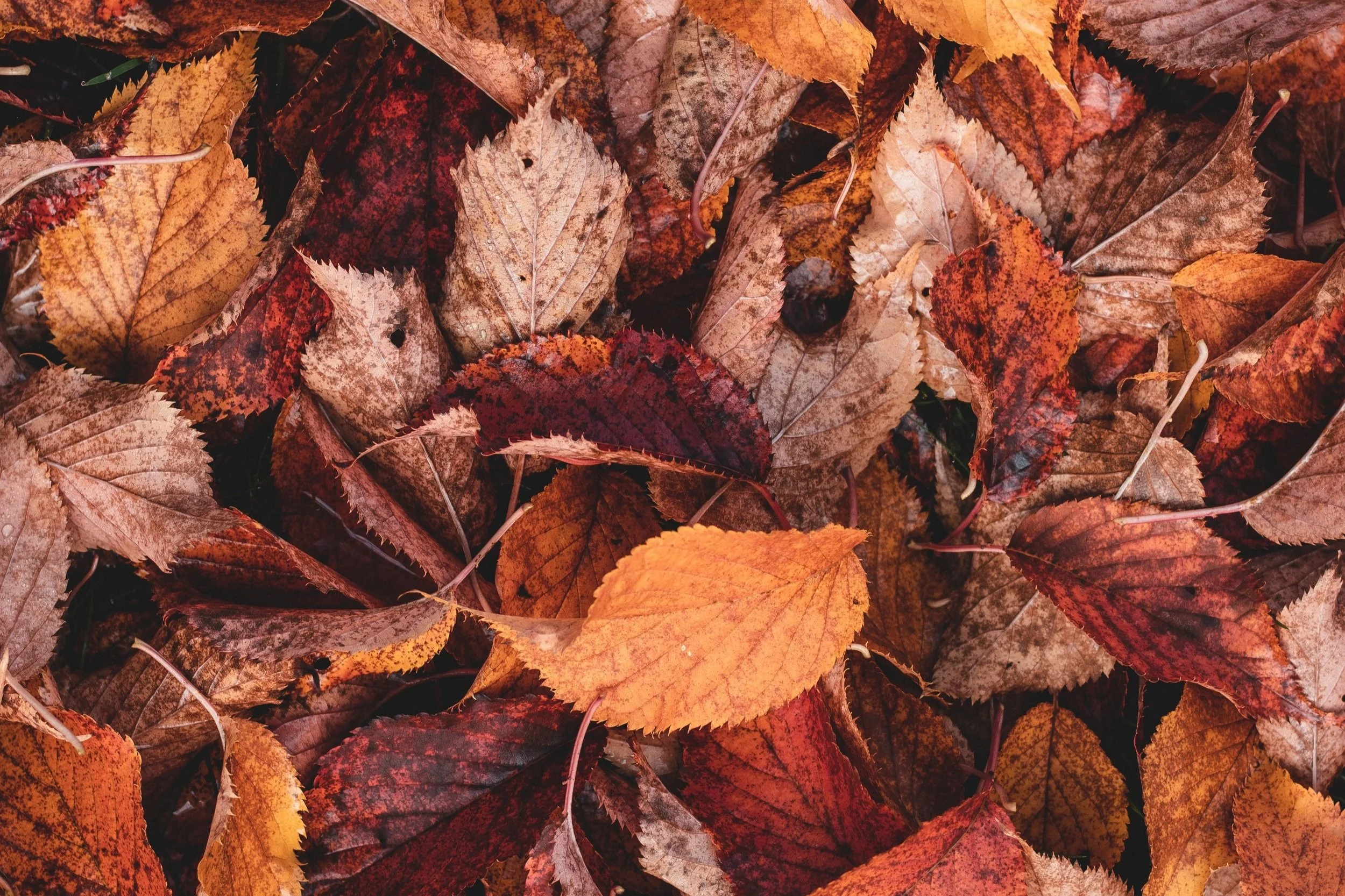 November Round Up