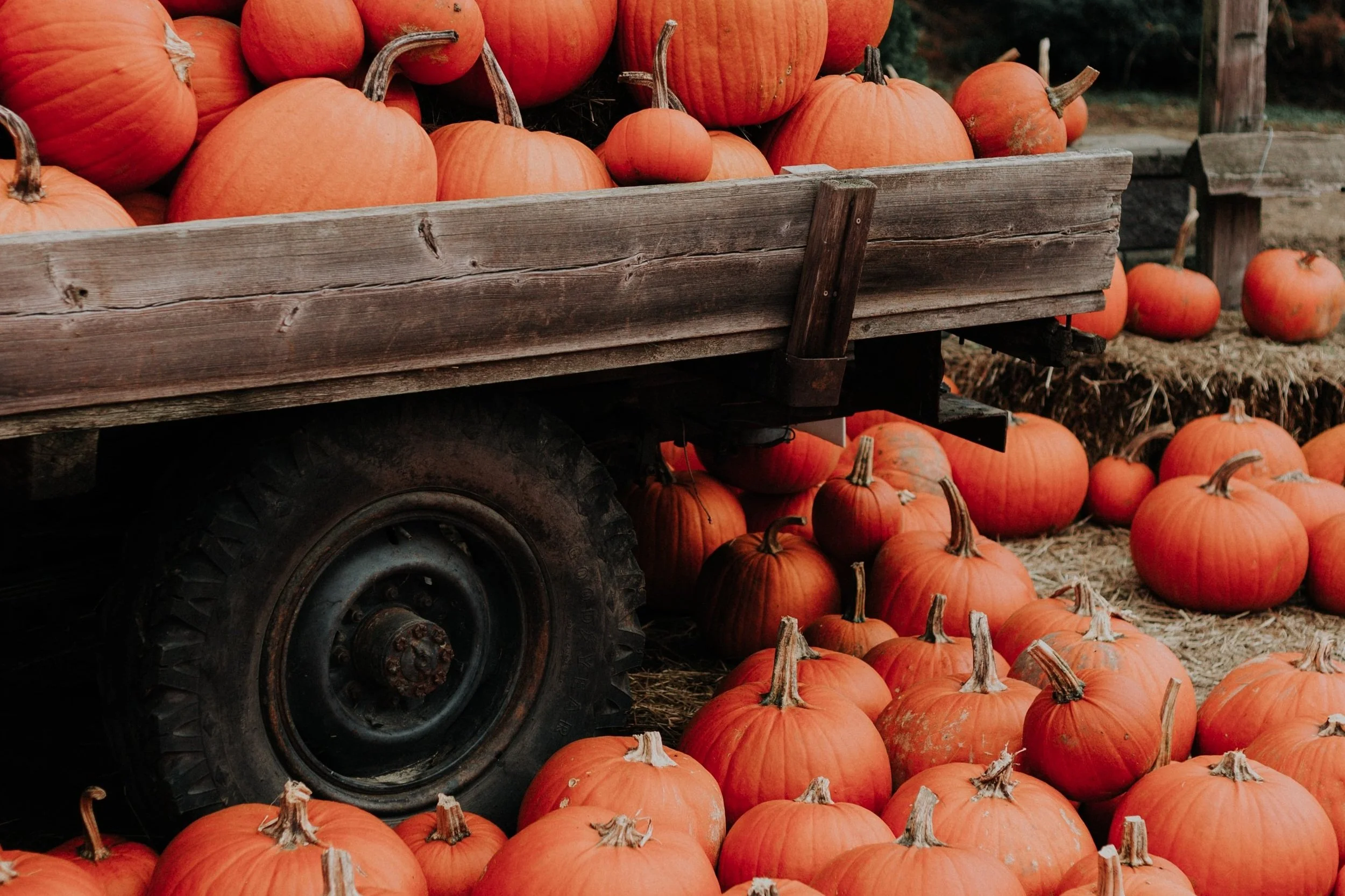 October Round Up