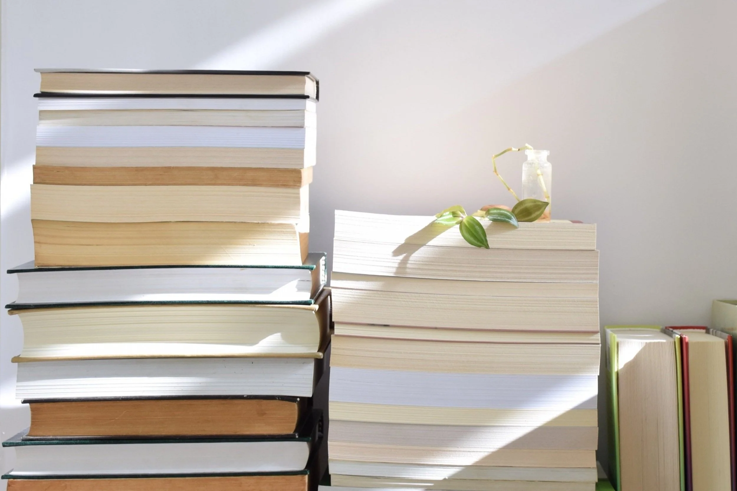 Book Recommendations from our Executive Team