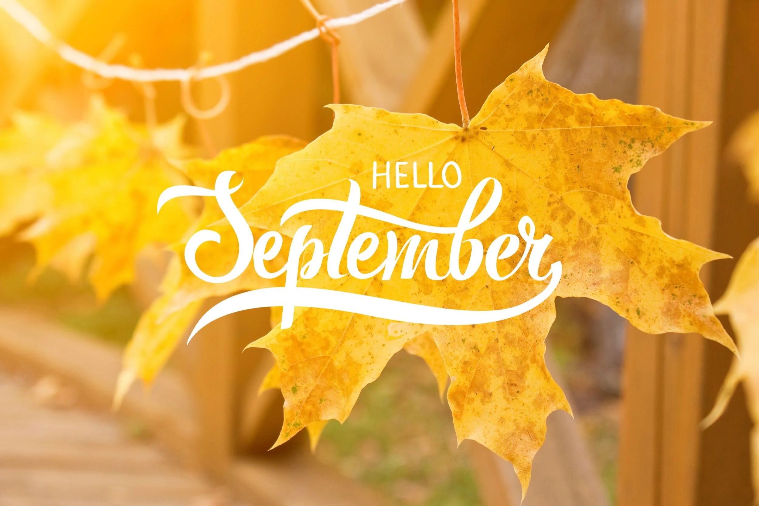 September Round Up