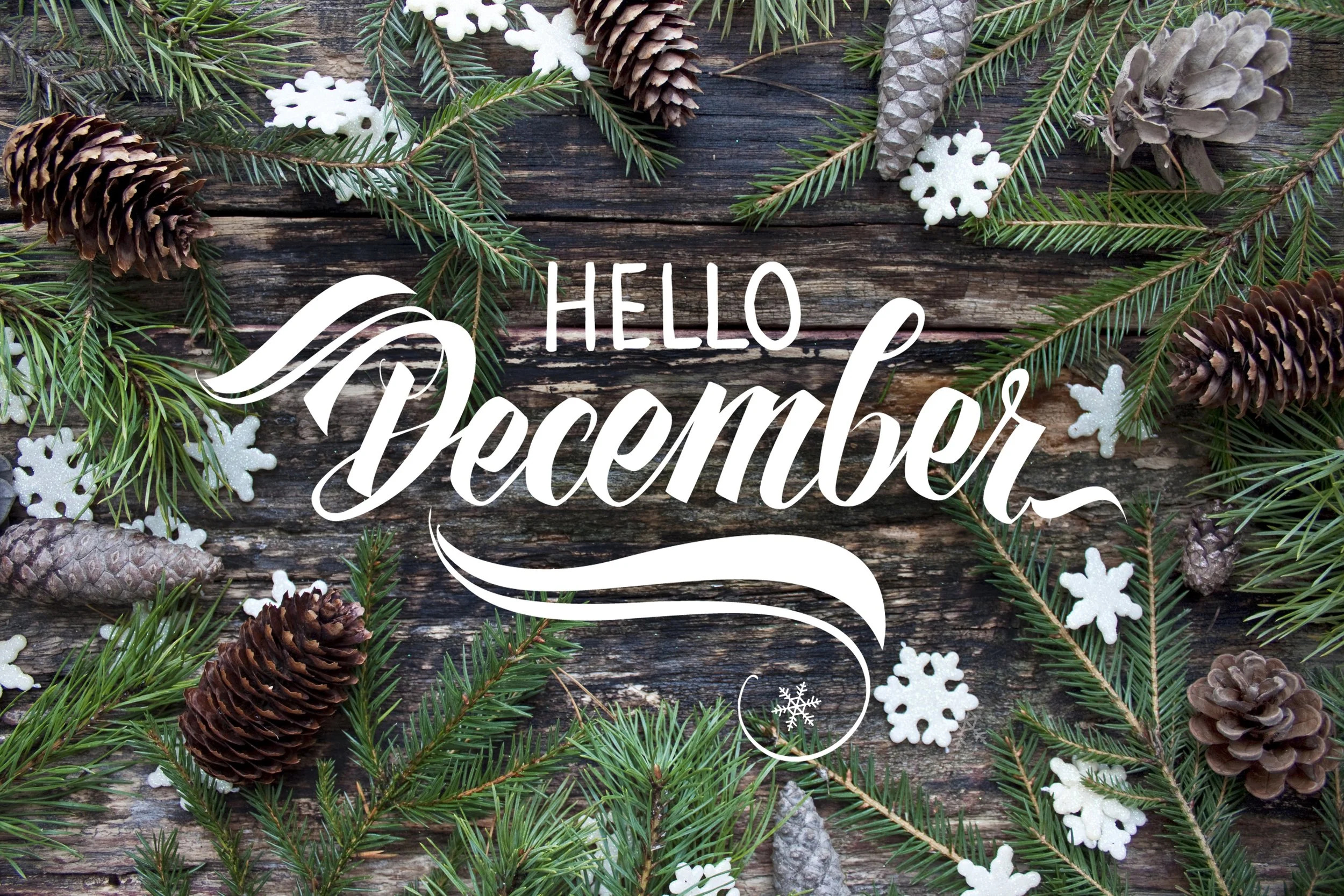 December Round Up