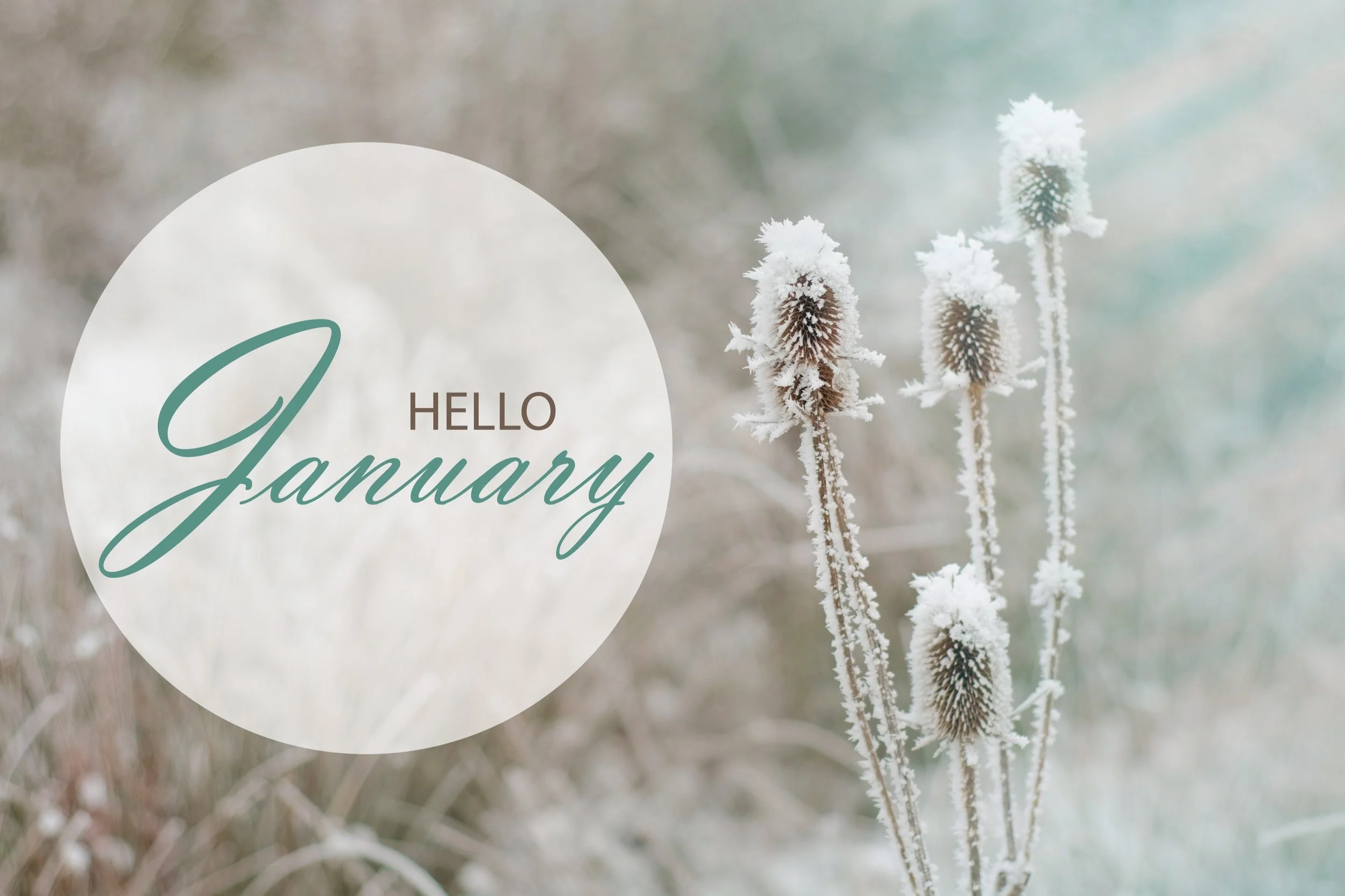 January Round Up