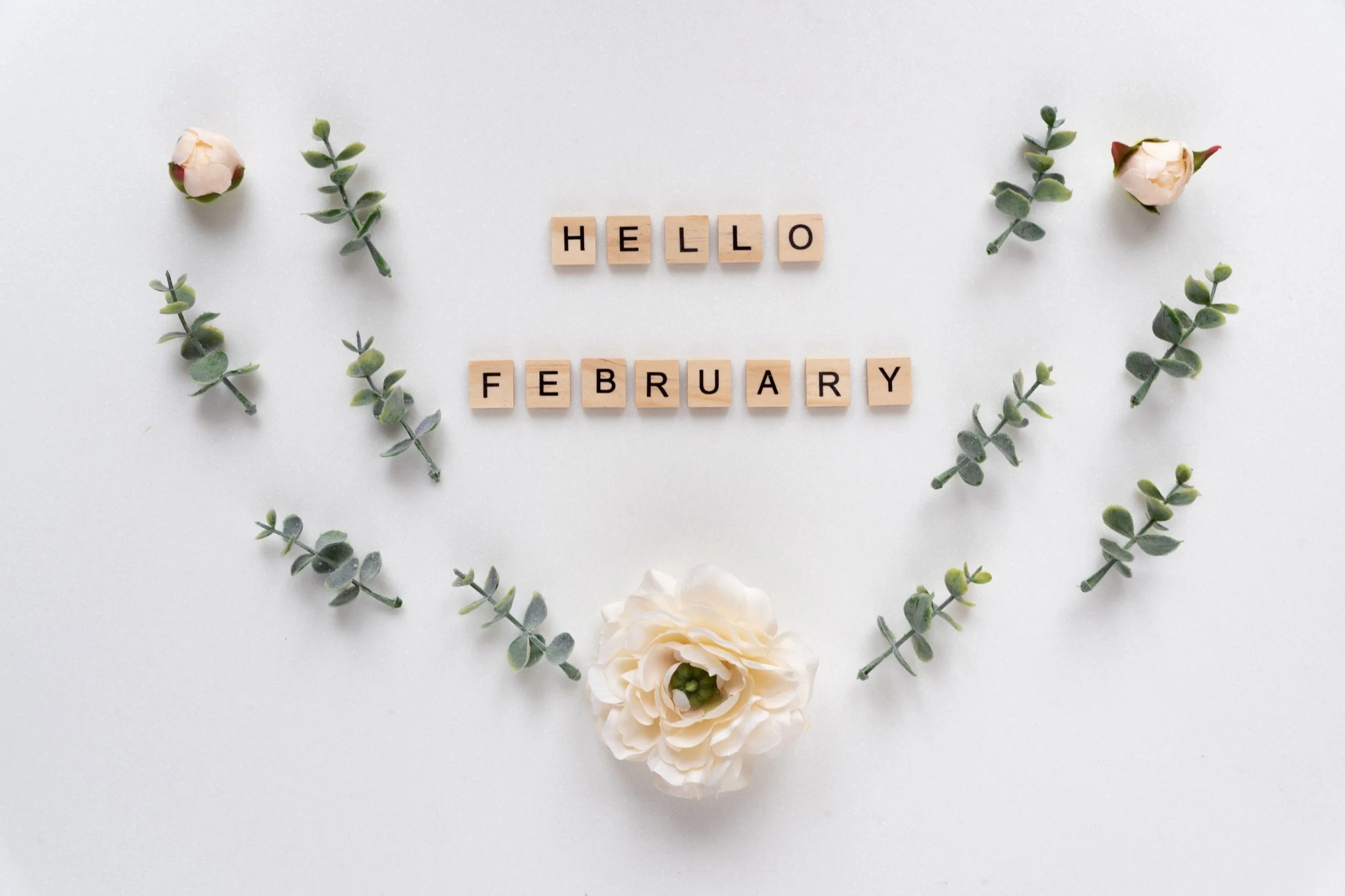 February Round Up