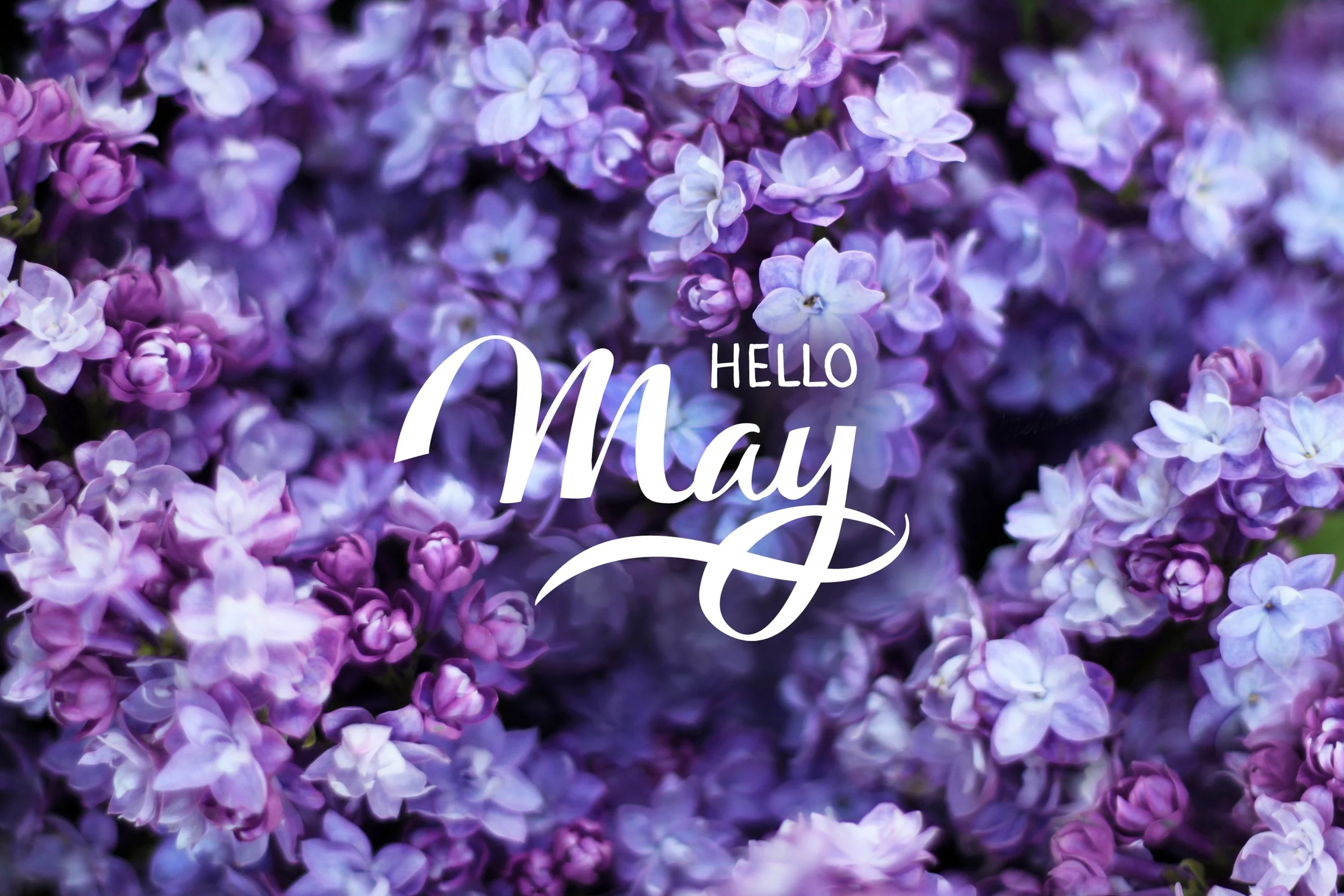 May Round Up