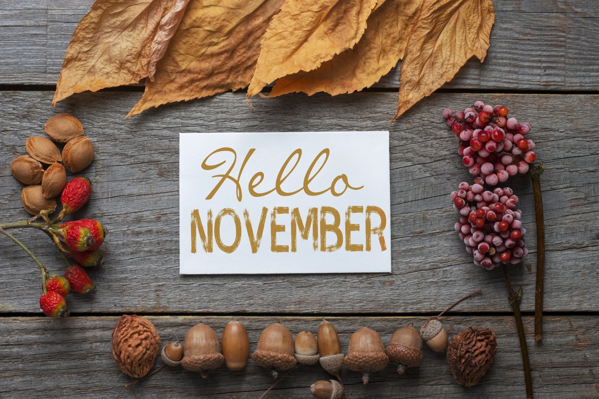 November Round Up