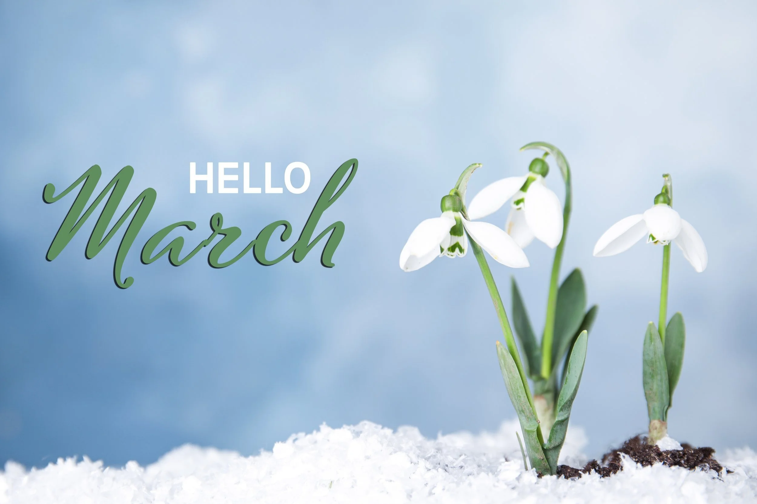 March Round Up