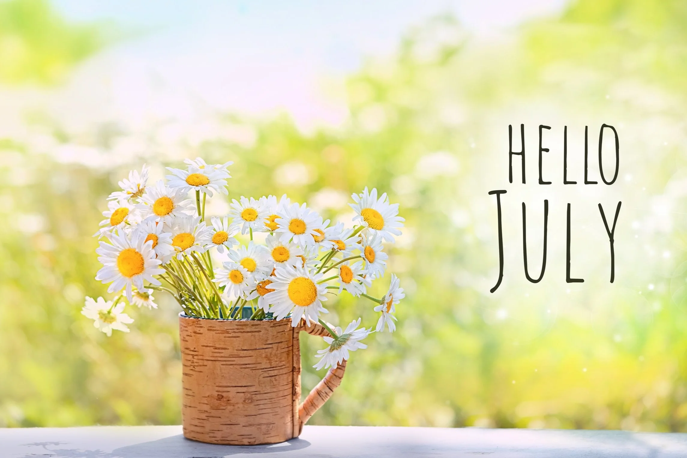 July Round Up