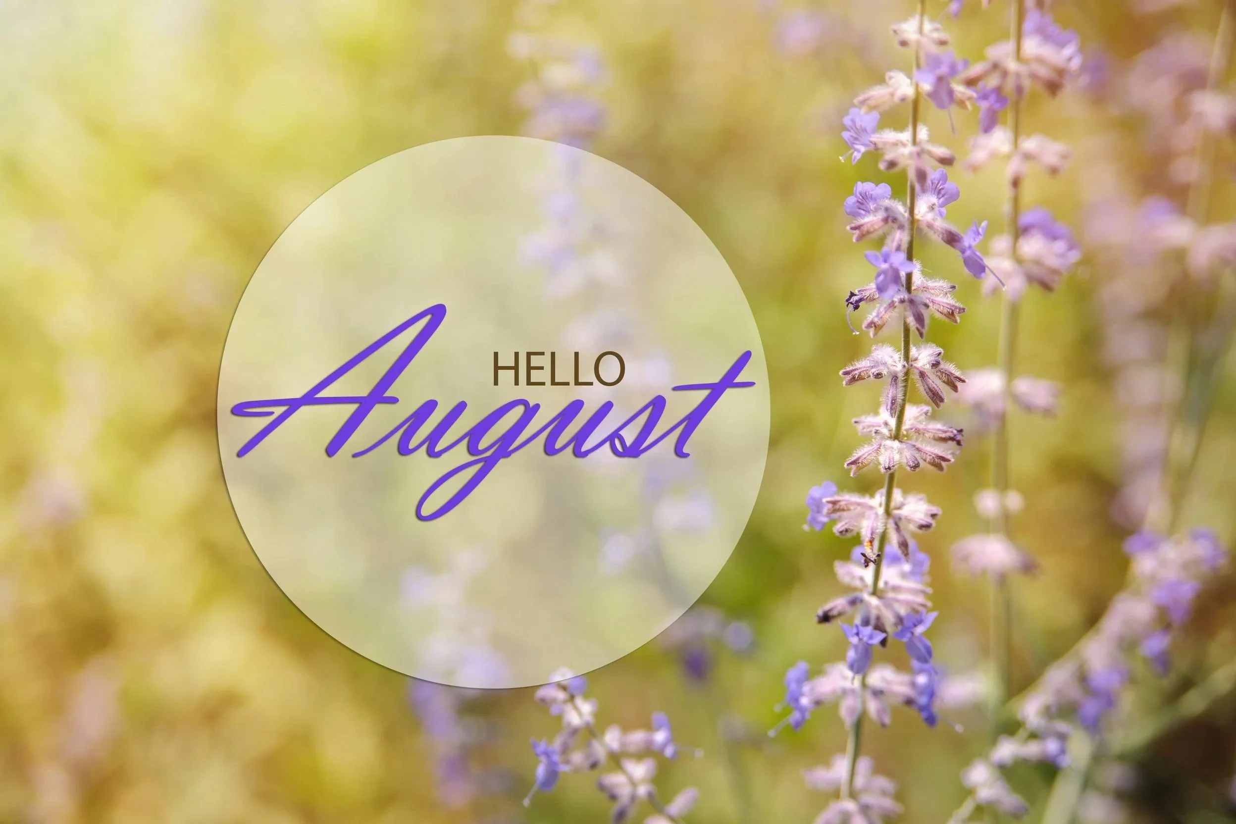August Round Up