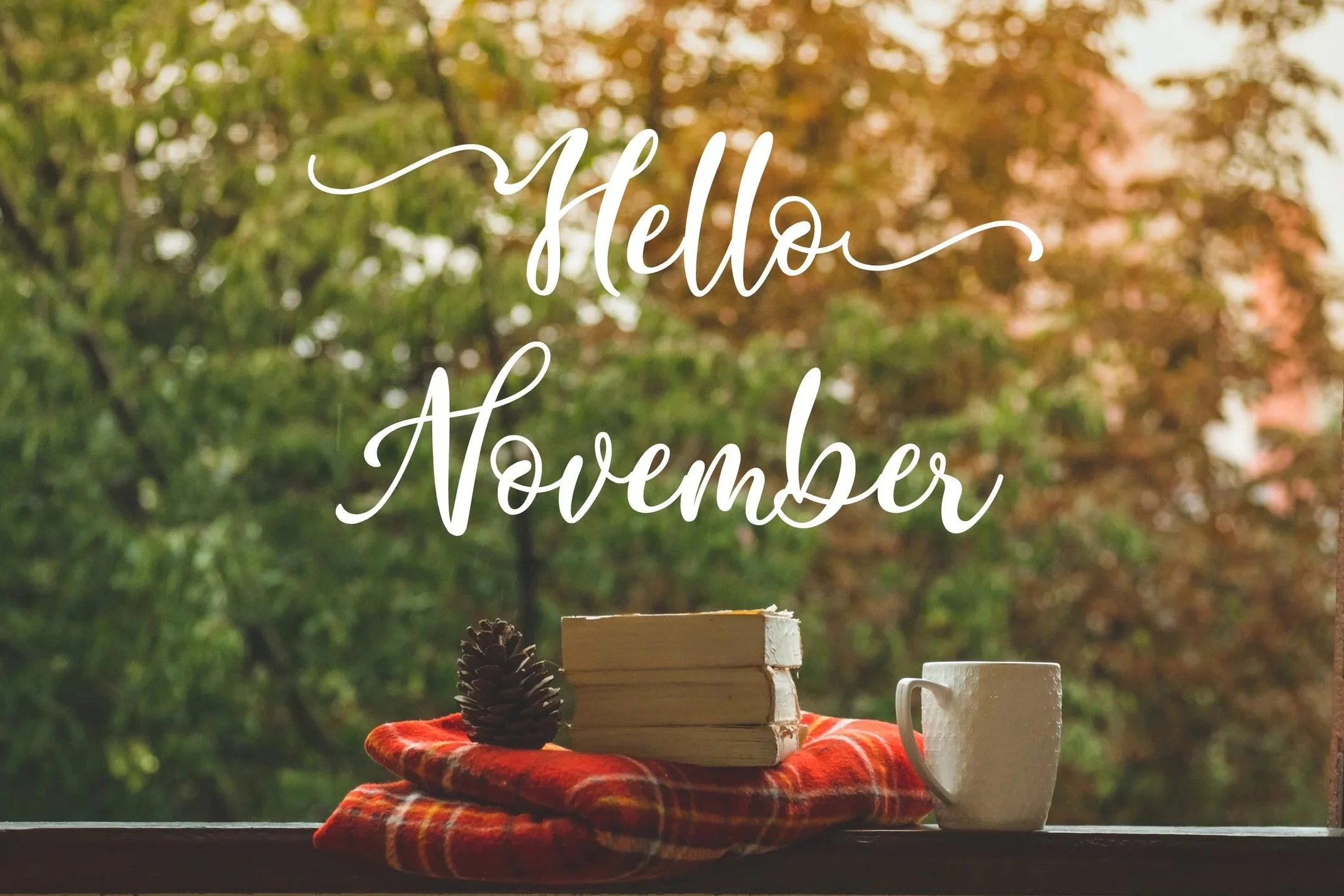November Round Up
