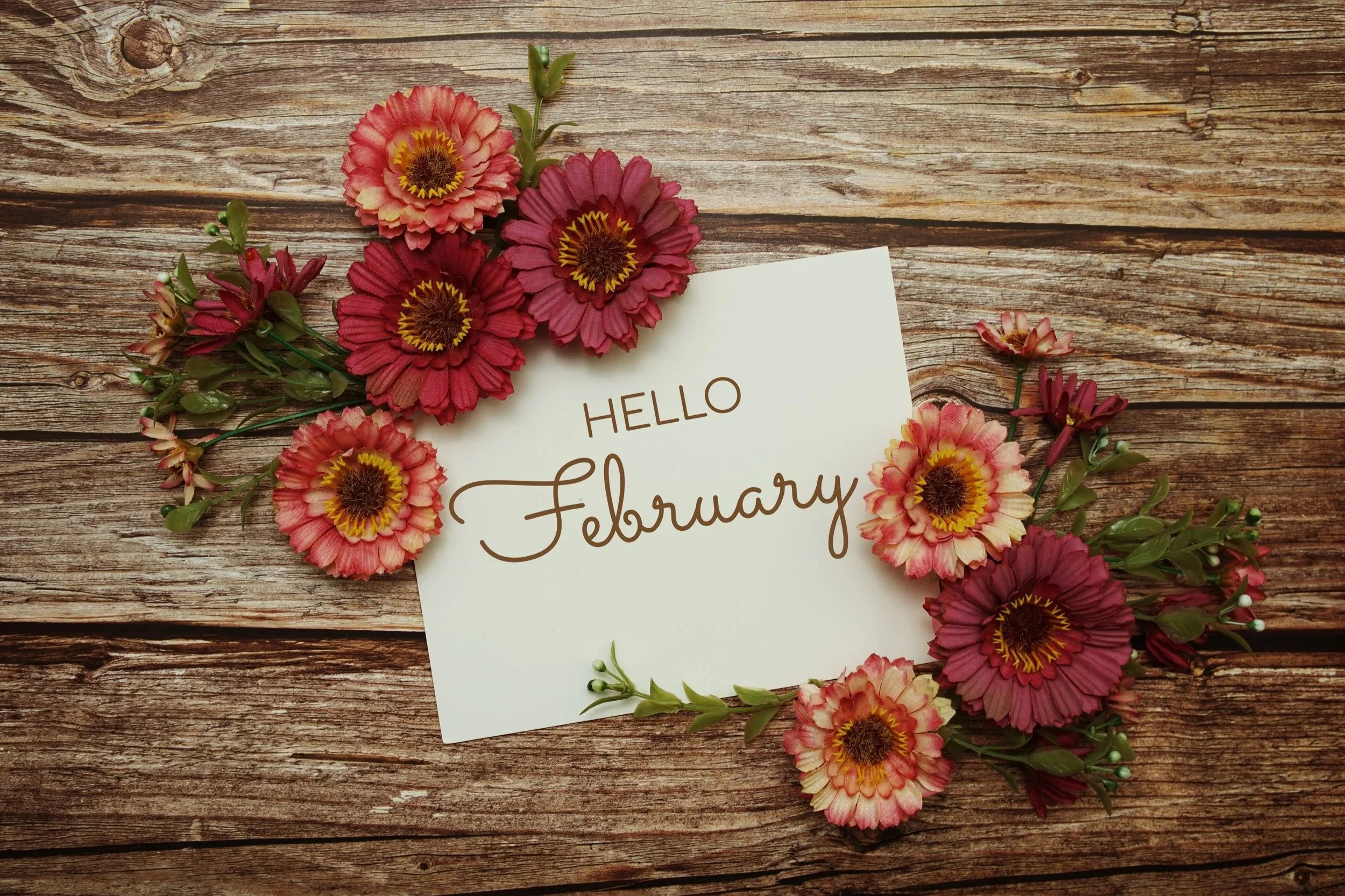February Round Up