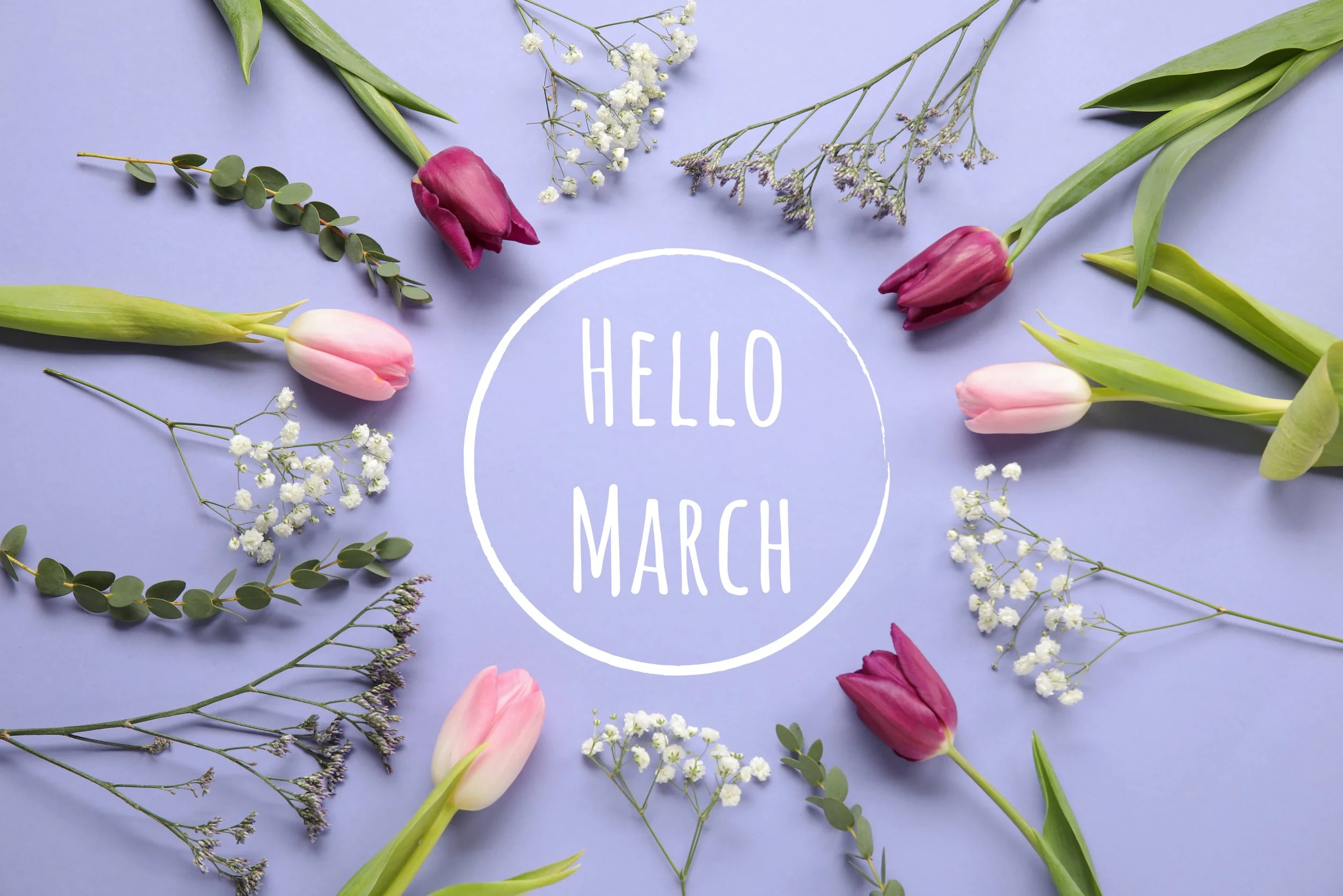 March Round Up