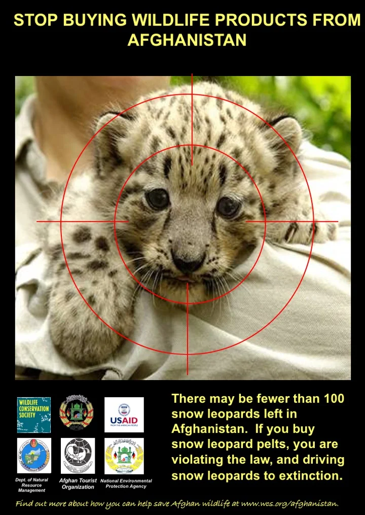 _WCS Wildlife Poster_Dehgan.jpg