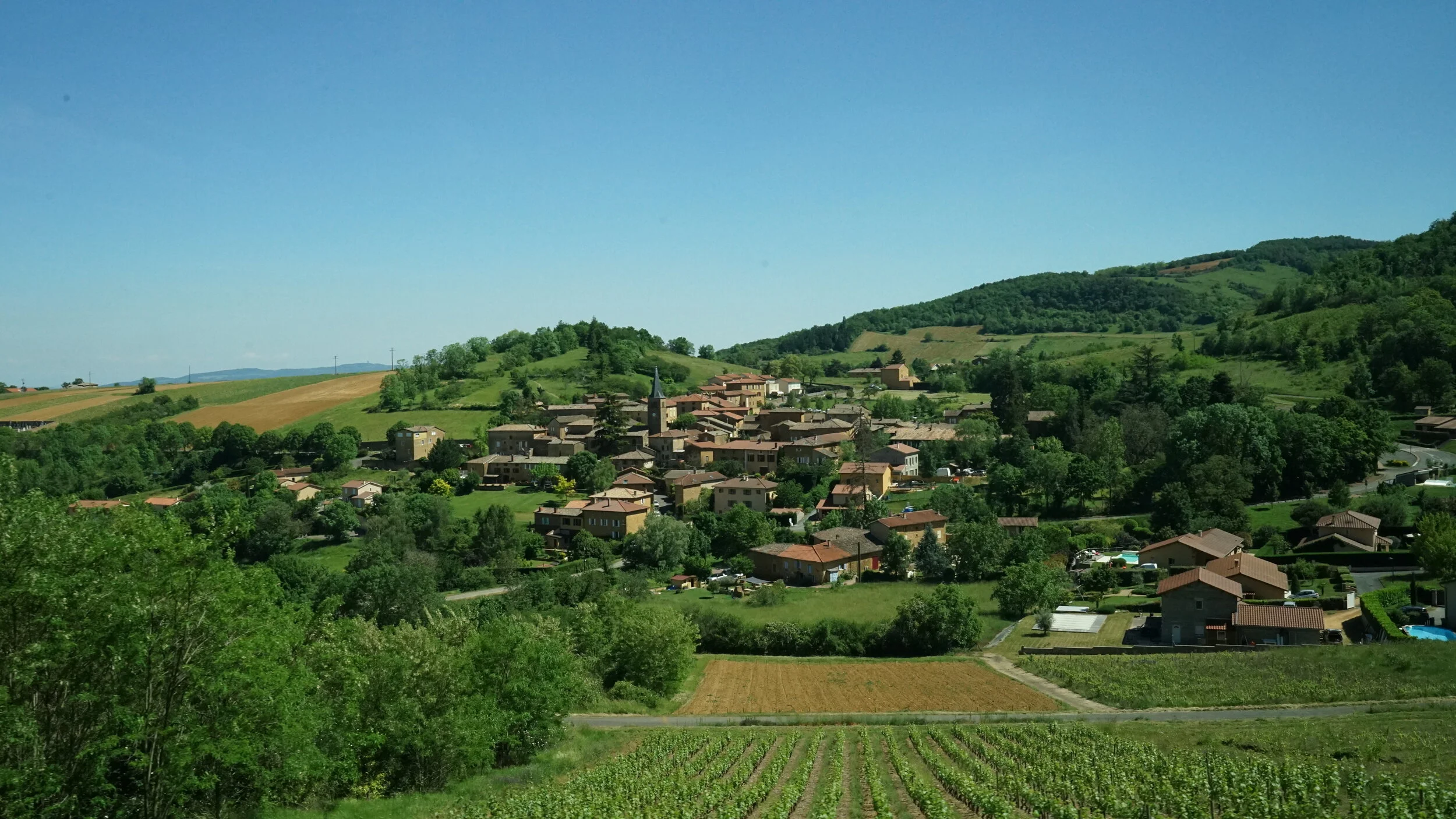 80% de la terre, 20% du ciel, 100% perdue