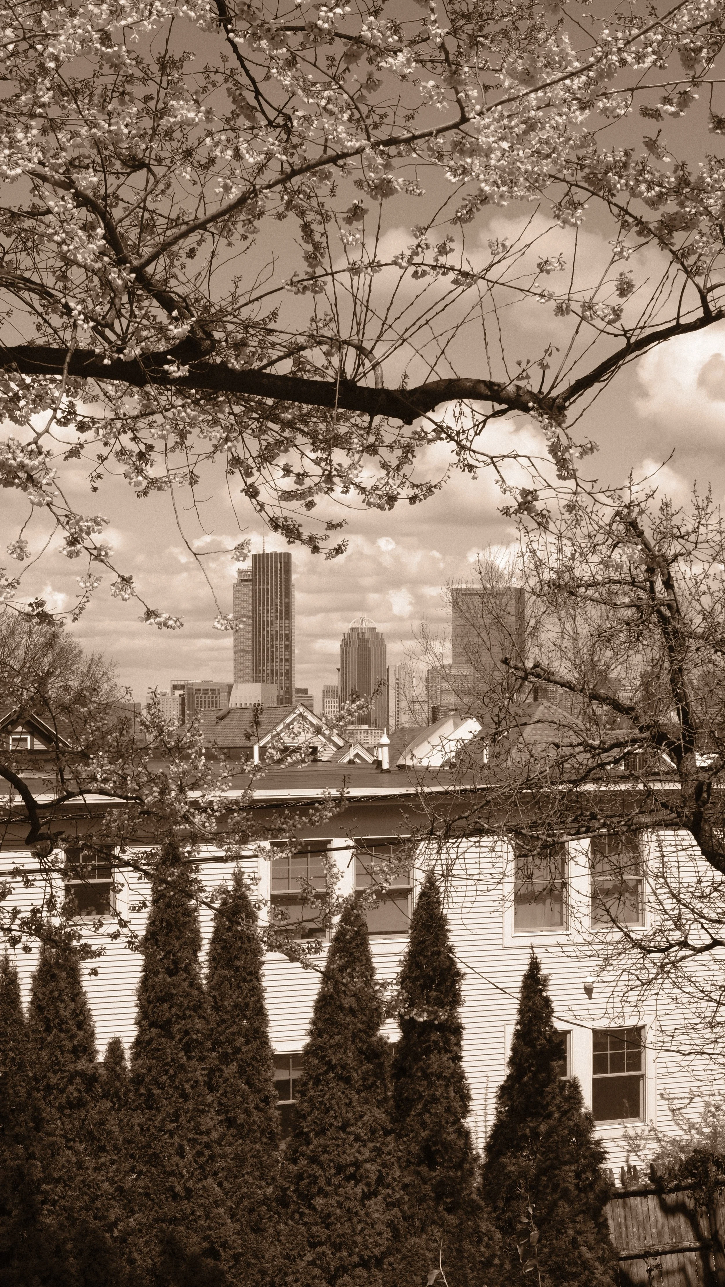 Mission Hill: Is it Me or is it Stanislavsky?