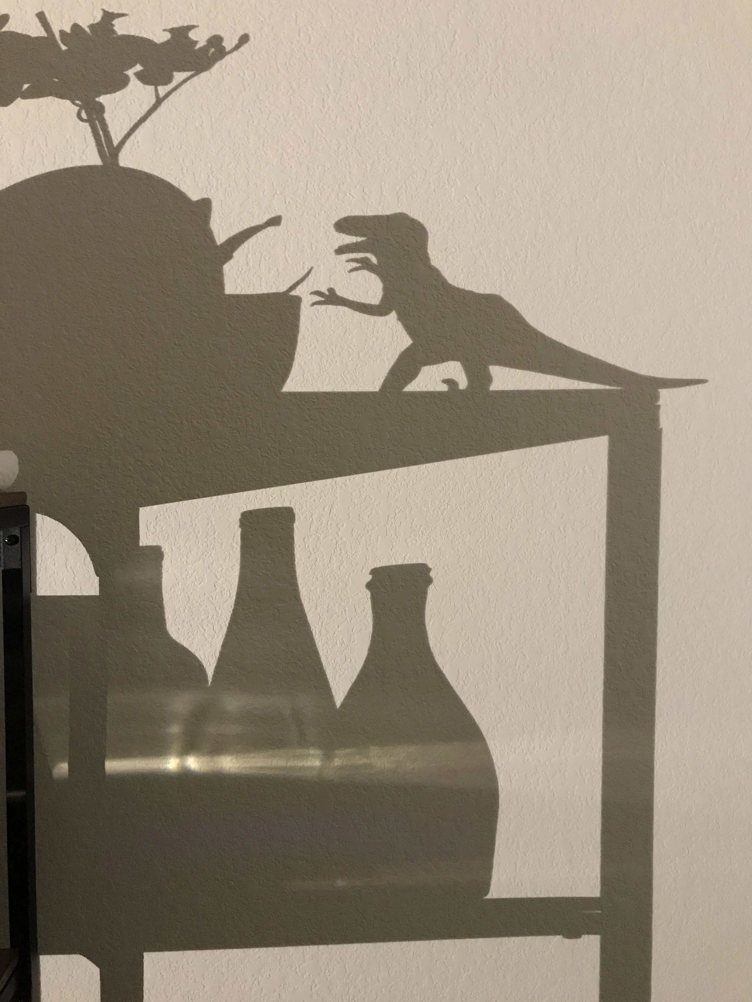Hard Shadows