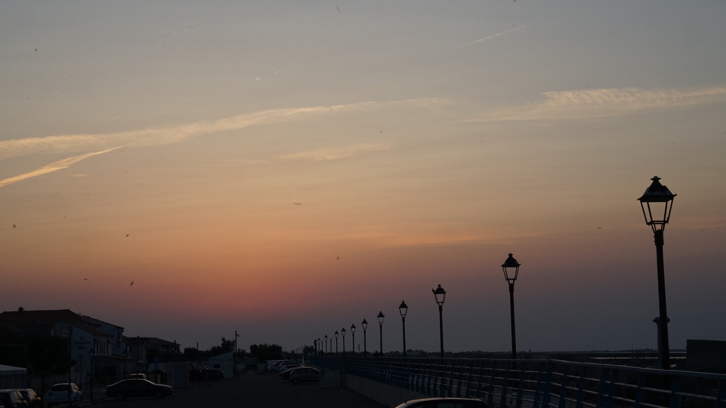 DSC03490.jpeg