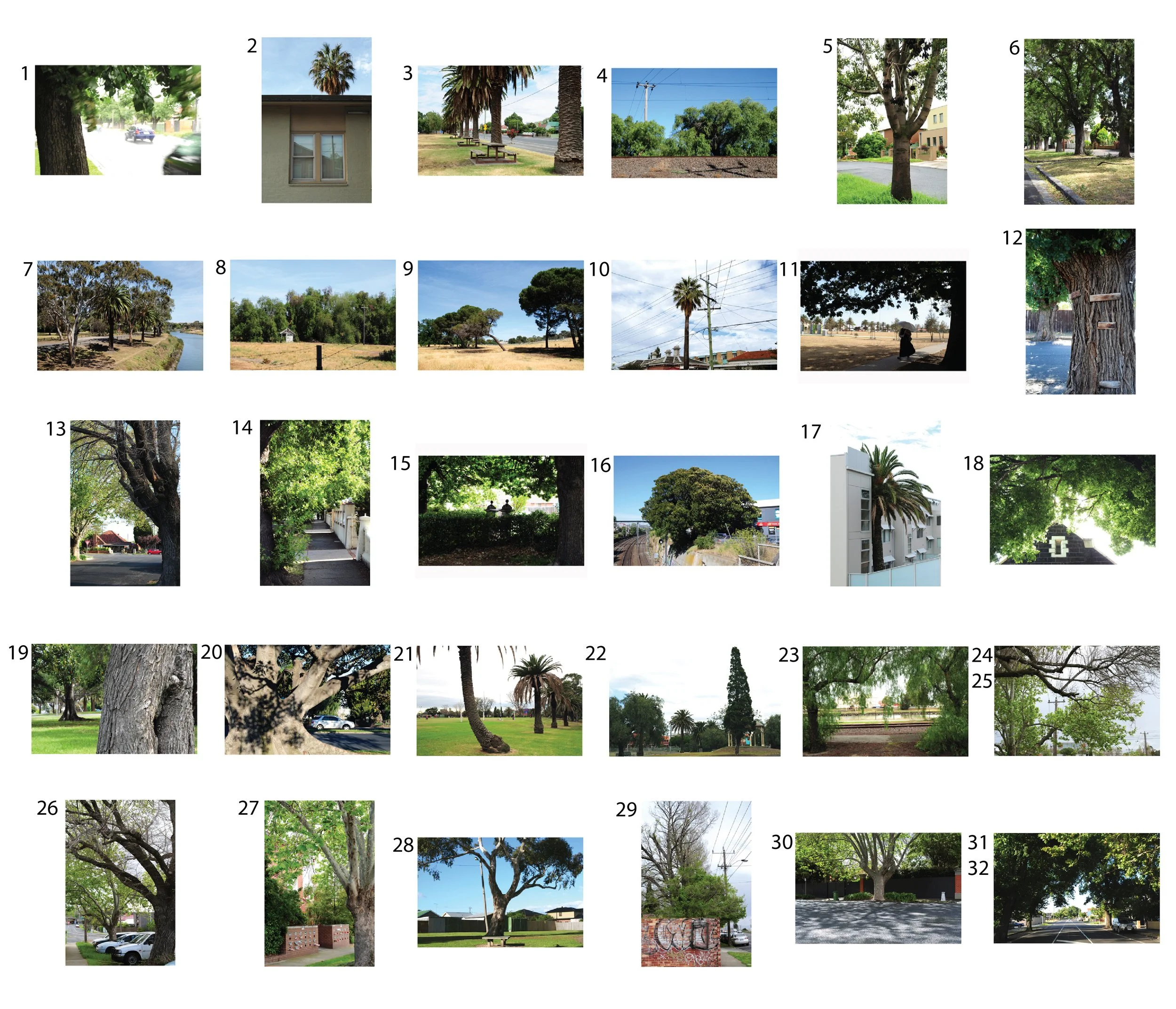 Maribyrnong_trees_ALL.jpg