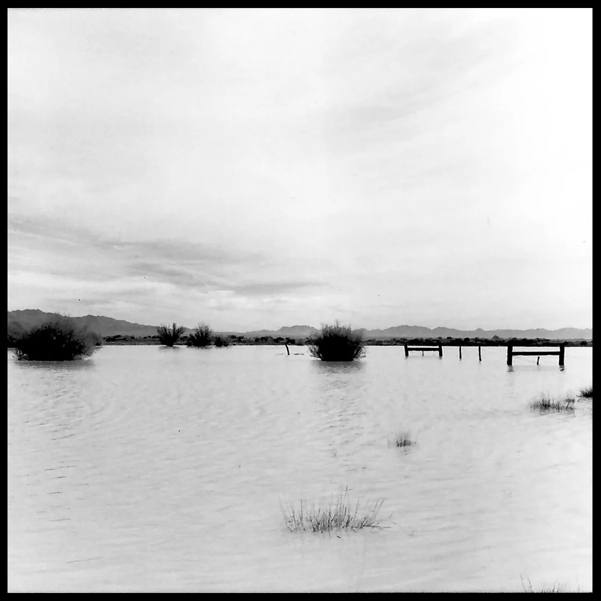 Wilcox_Yr3-1 copy.jpg