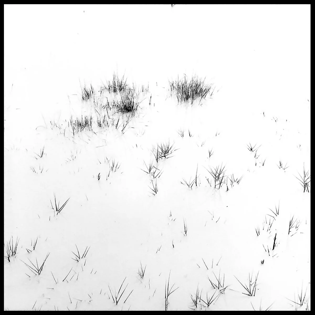 Wilcox_Yr3-2 copy.jpg