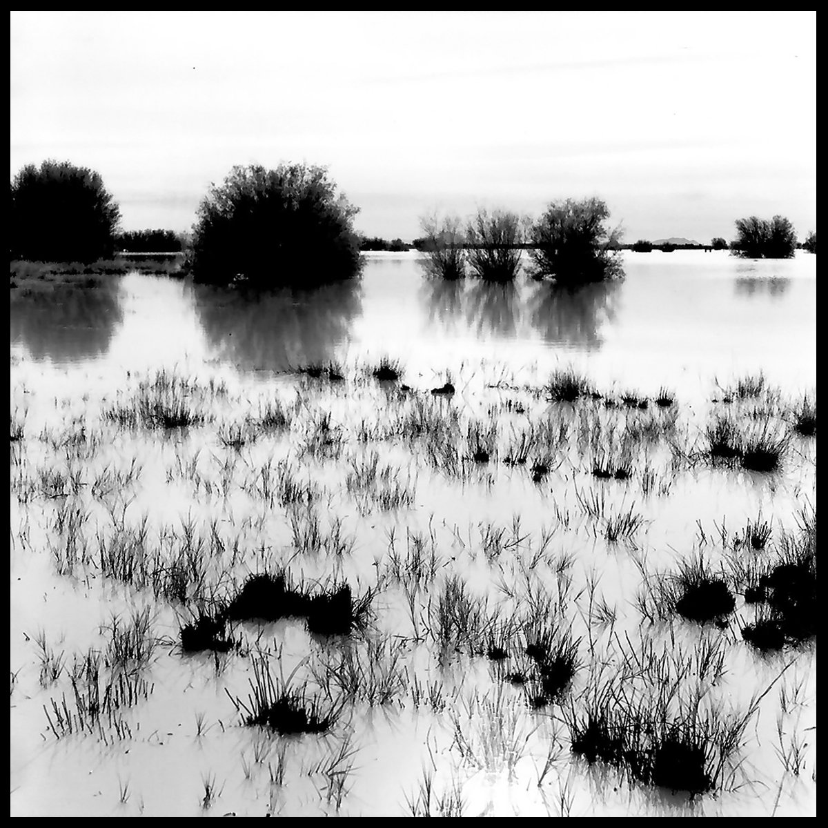 Wilcox_Yr3-5 copy.jpg