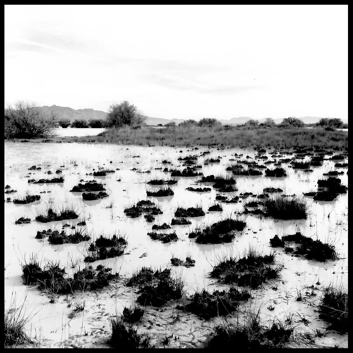 Wilcox_Yr3-6 copy.jpg