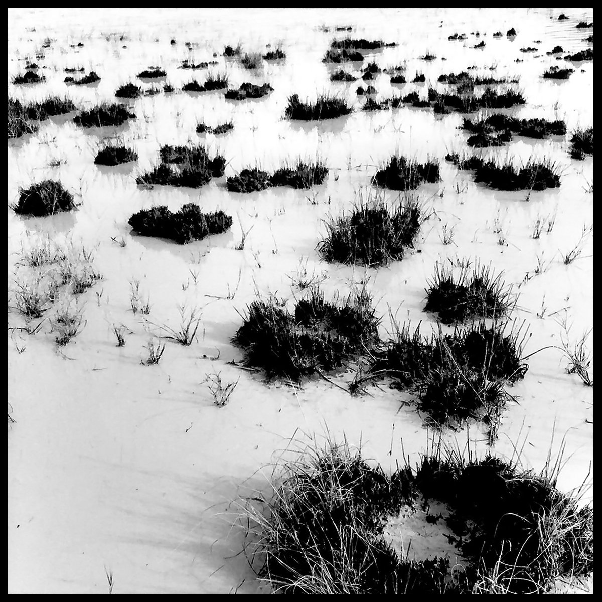 Wilcox_Yr3-7 copy.jpg