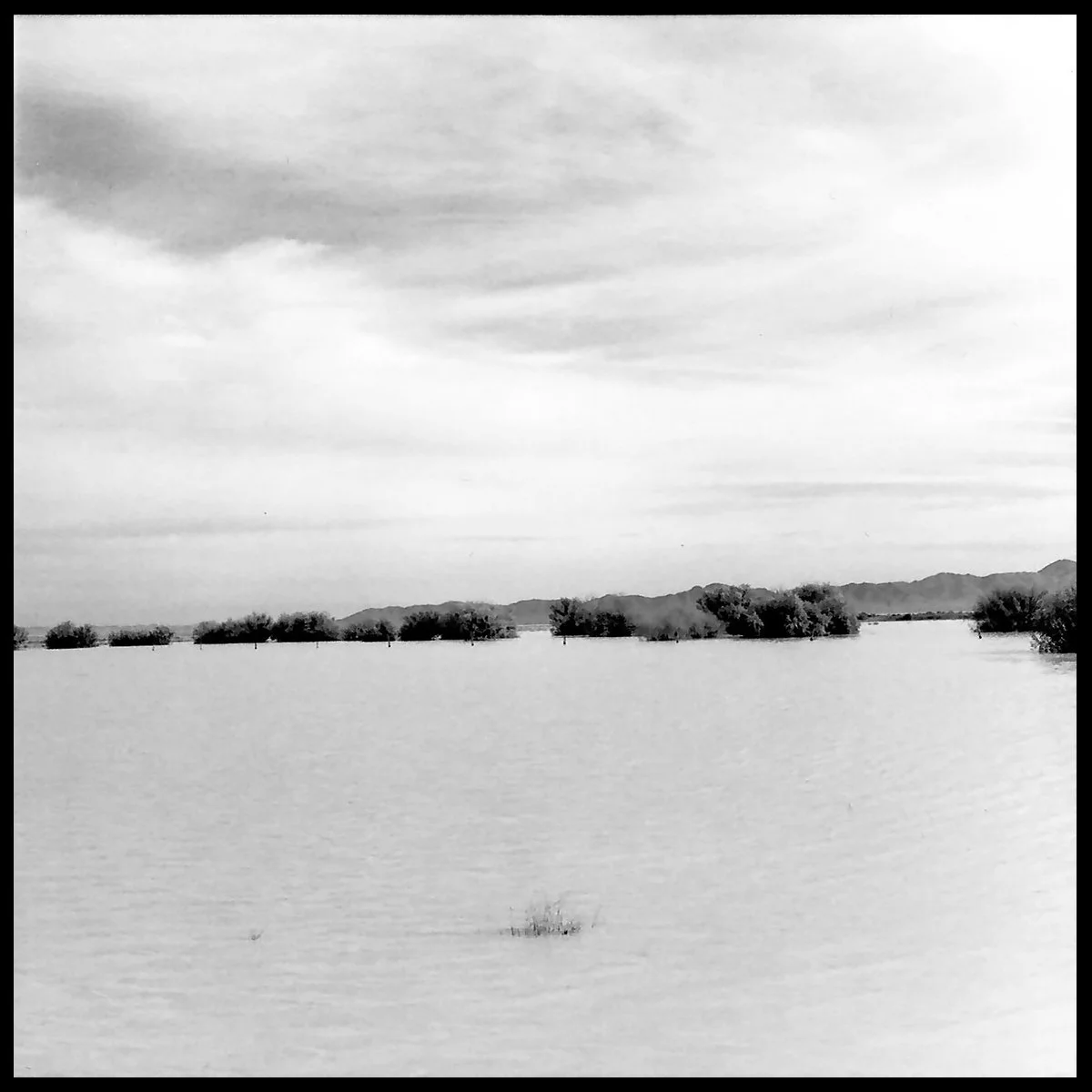 Wilcox_Yr3-9 copy.jpg