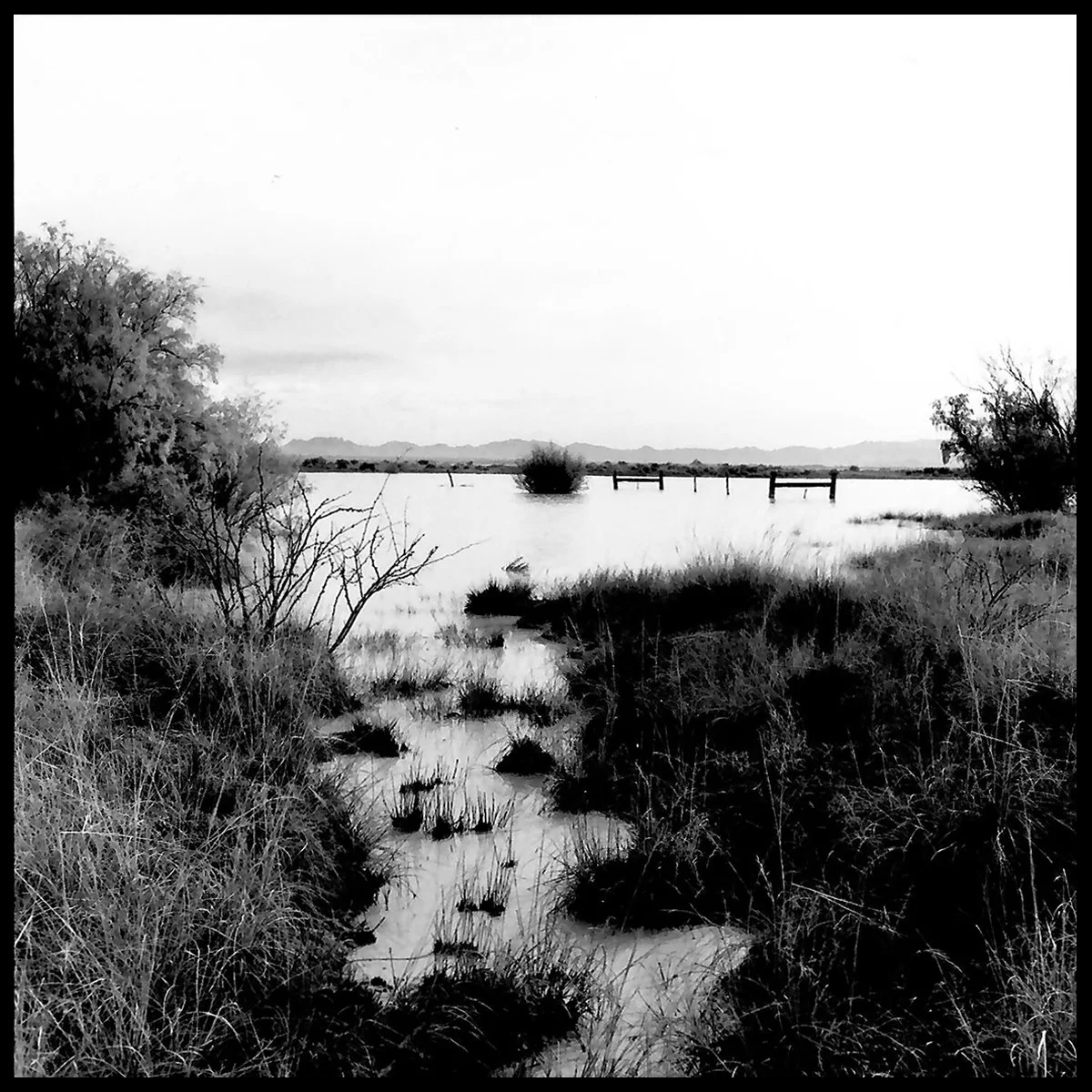 Wilcox_Yr3-8 copy.jpg