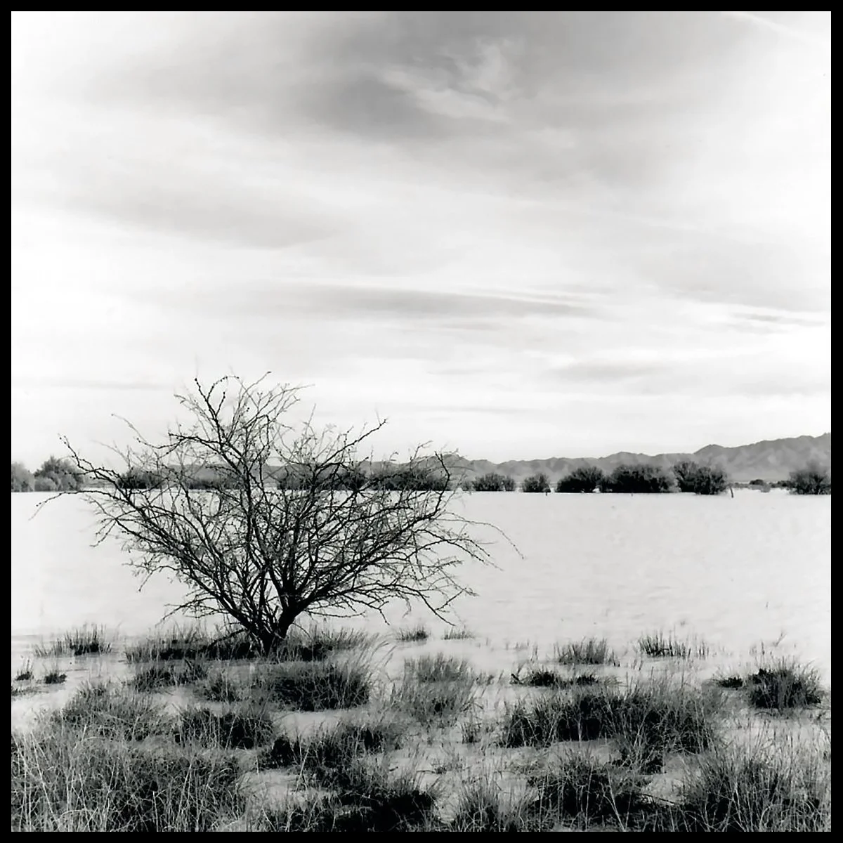 Wilcox_Yr3-10 copy.jpg