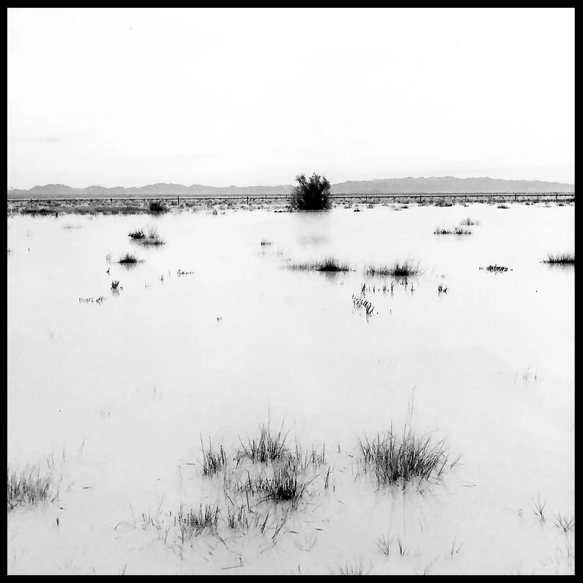 Wilcox_Yr3-3 copy.jpg