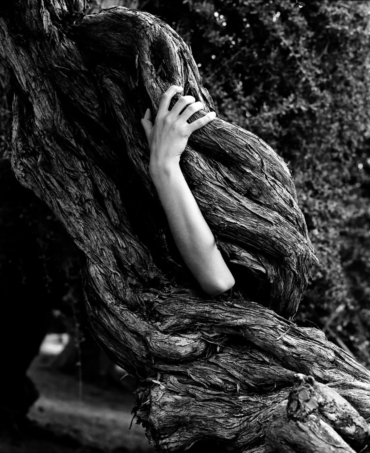 Symbol of One (silver gelatine, 20"x24")