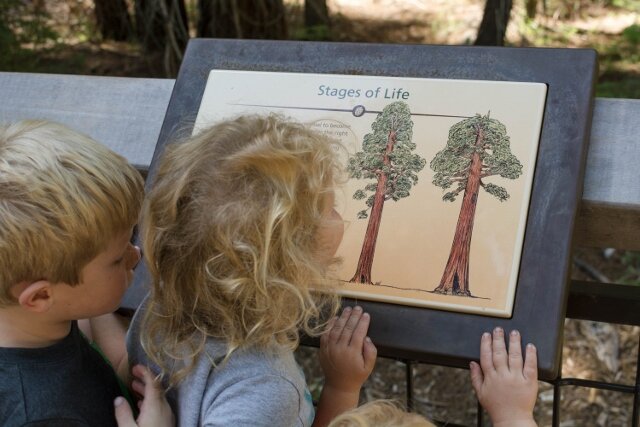 Yosemite Family Road Trip 3 (640x427).jpg