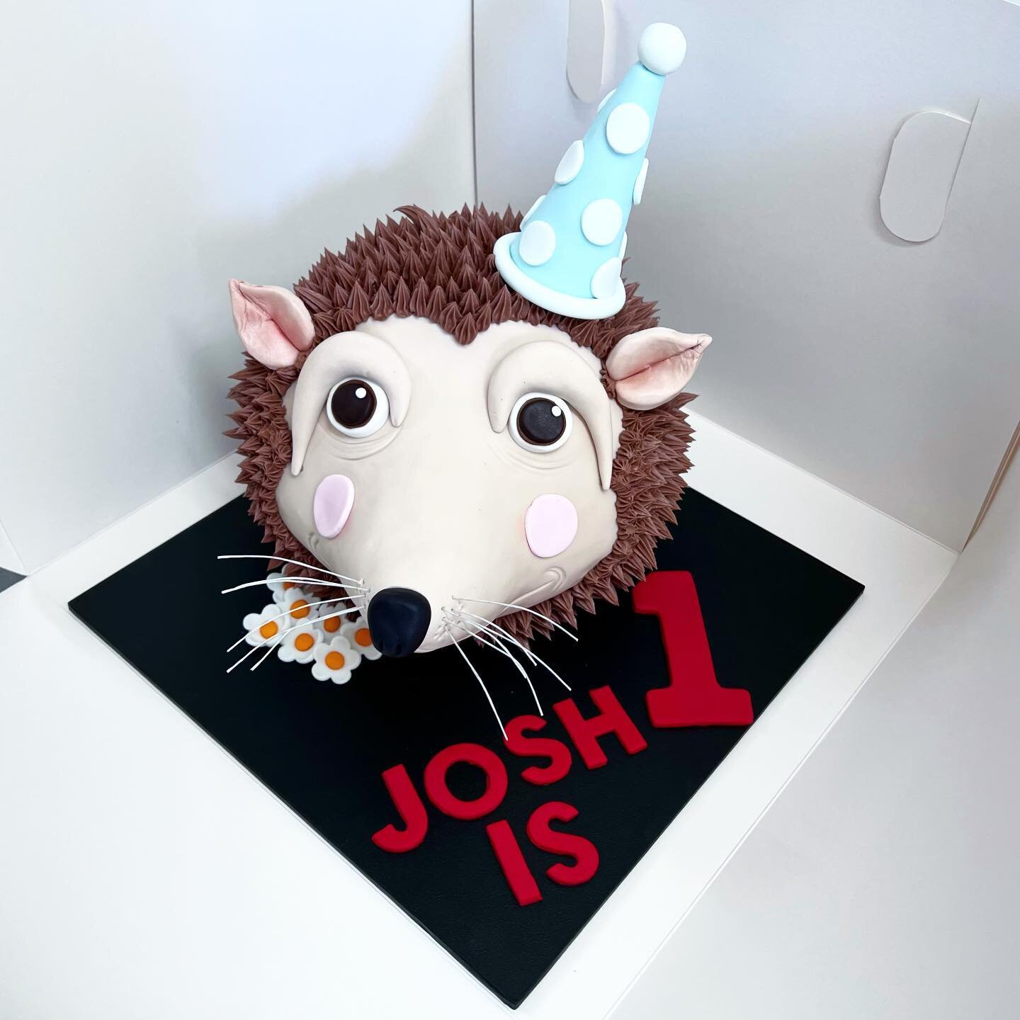 Josh celebrated his 1st Birthday with a hedgehog cake 🦔🦔🦔