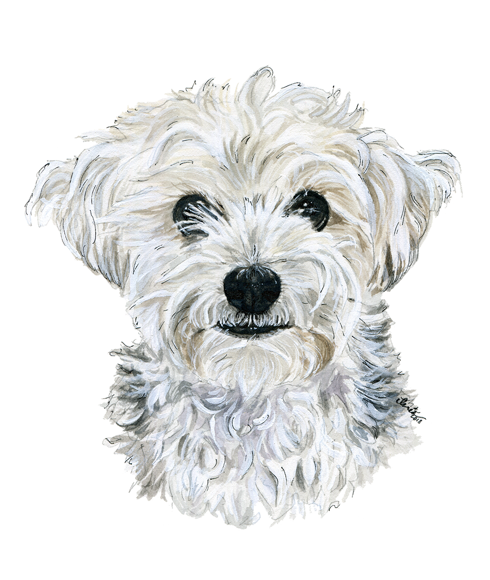 cookie.png