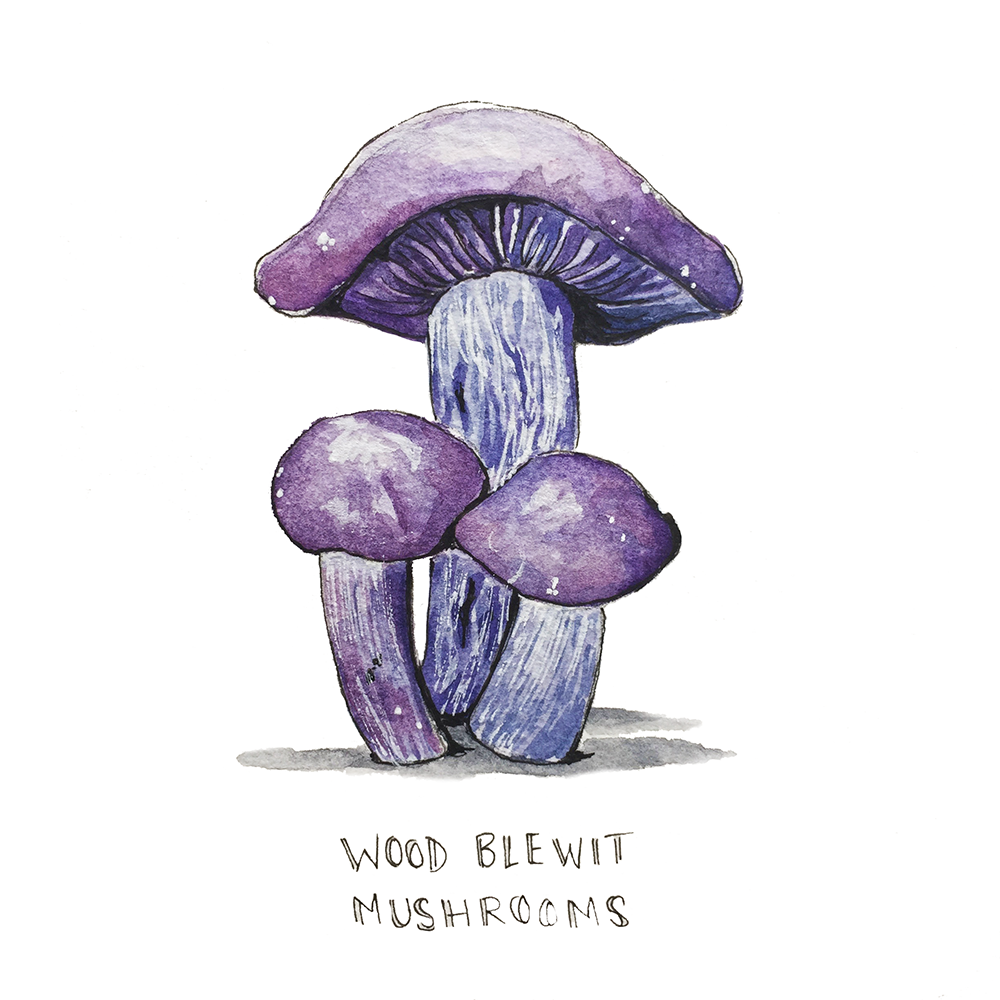 blewit mush.png