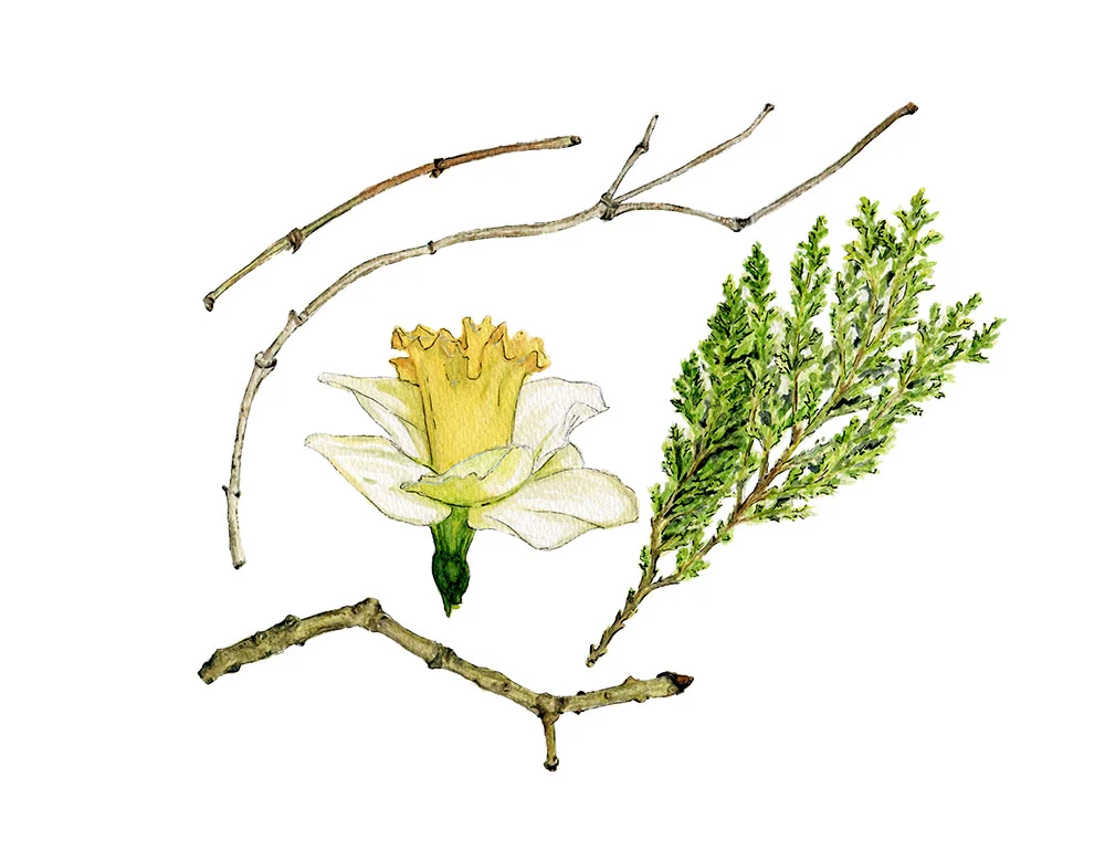 Little Treasures Project.jpg