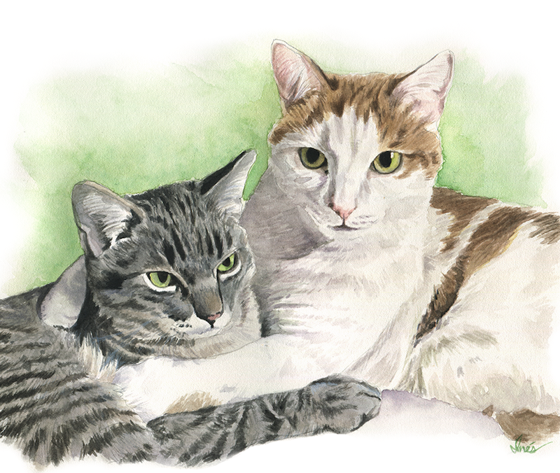 Video: Painting Two Cats + Thoughts on Pet Portraiture