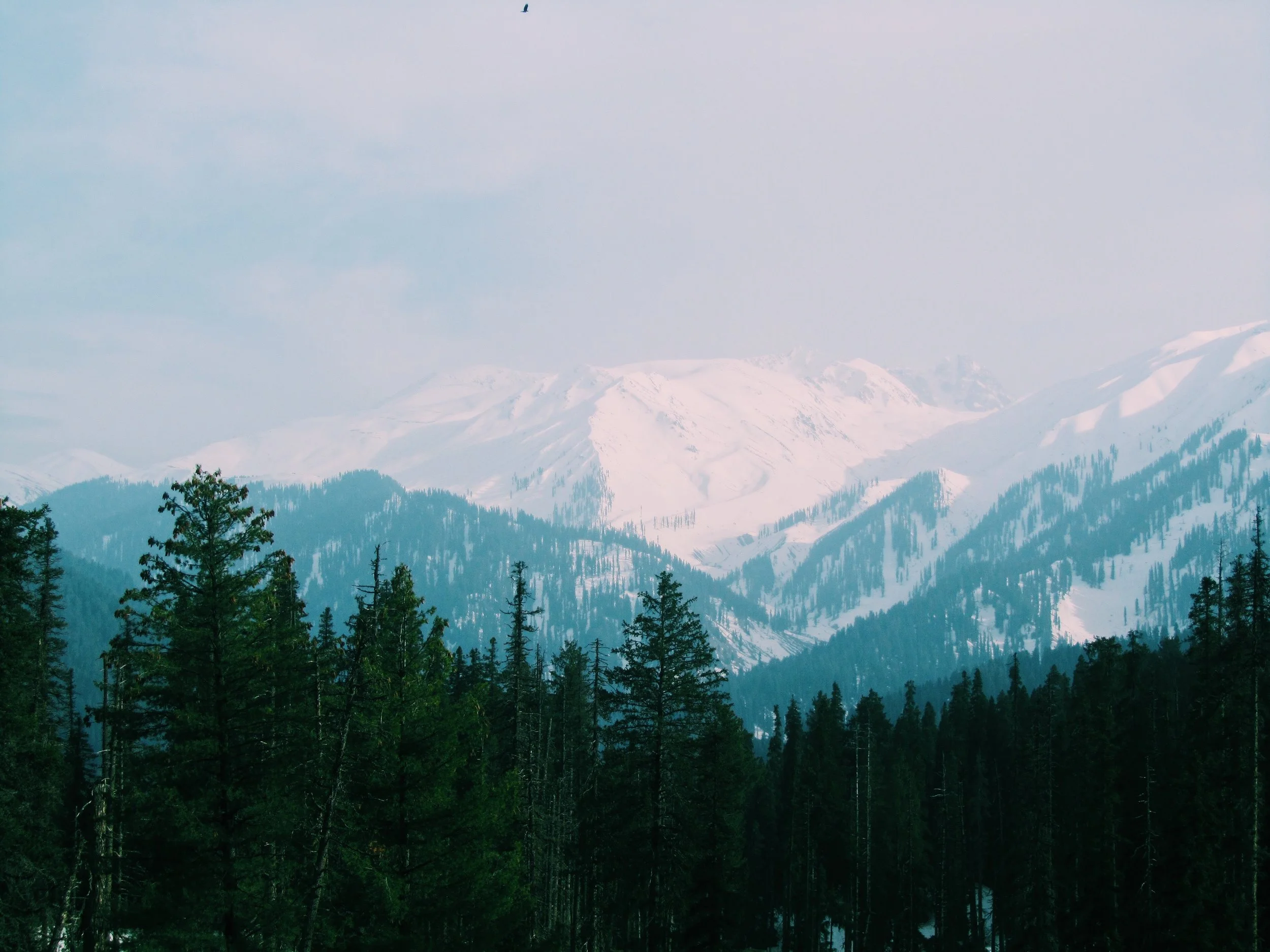 anjali-mehta-760179-unsplash.jpg