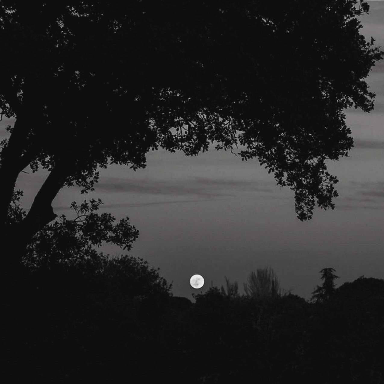 &ldquo;won't someone put the moon to bed?&ldquo; 
📷 &copy; H&eacute;l&egrave;ne Desplechin