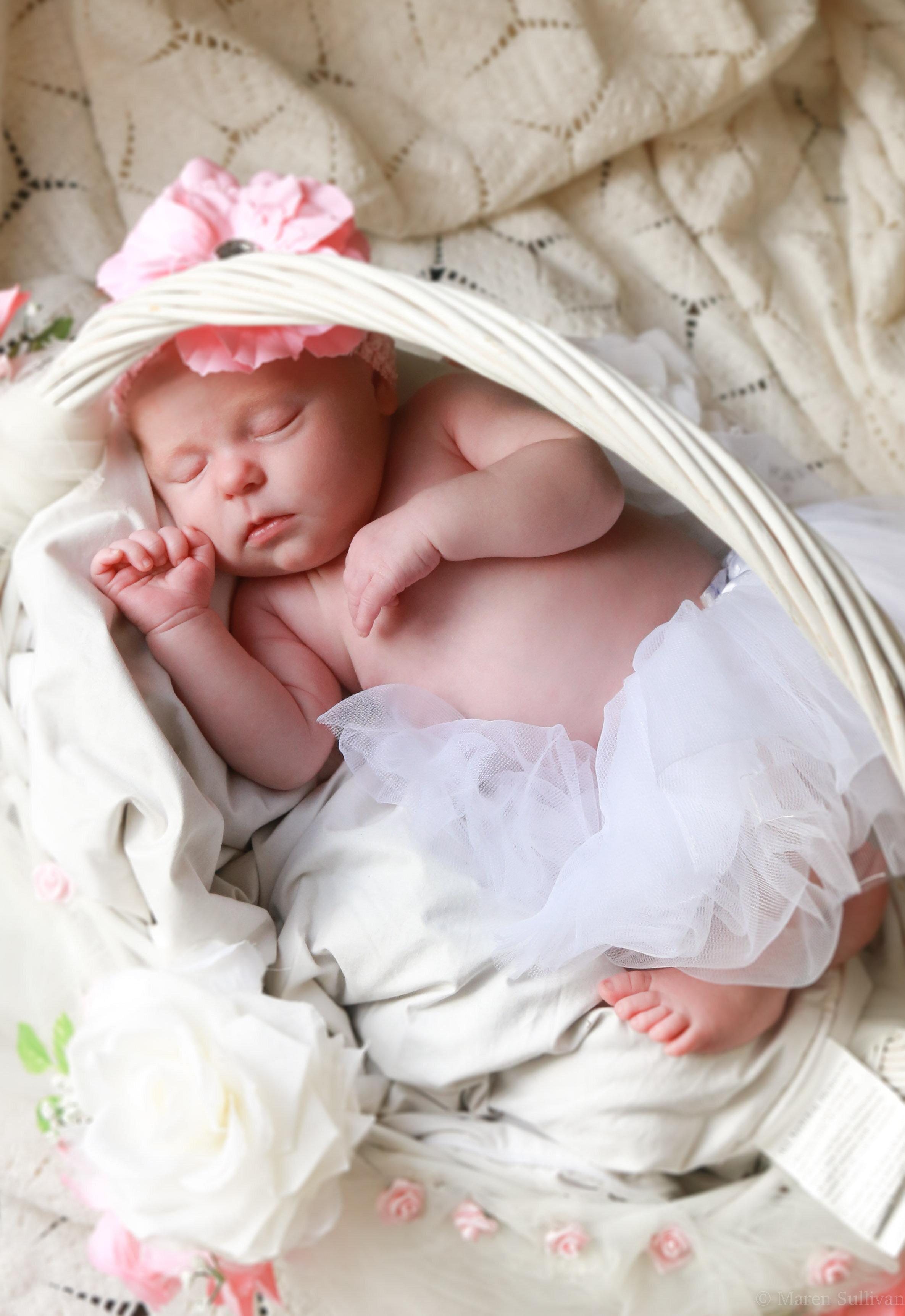 Adalyn-portrait.jpg