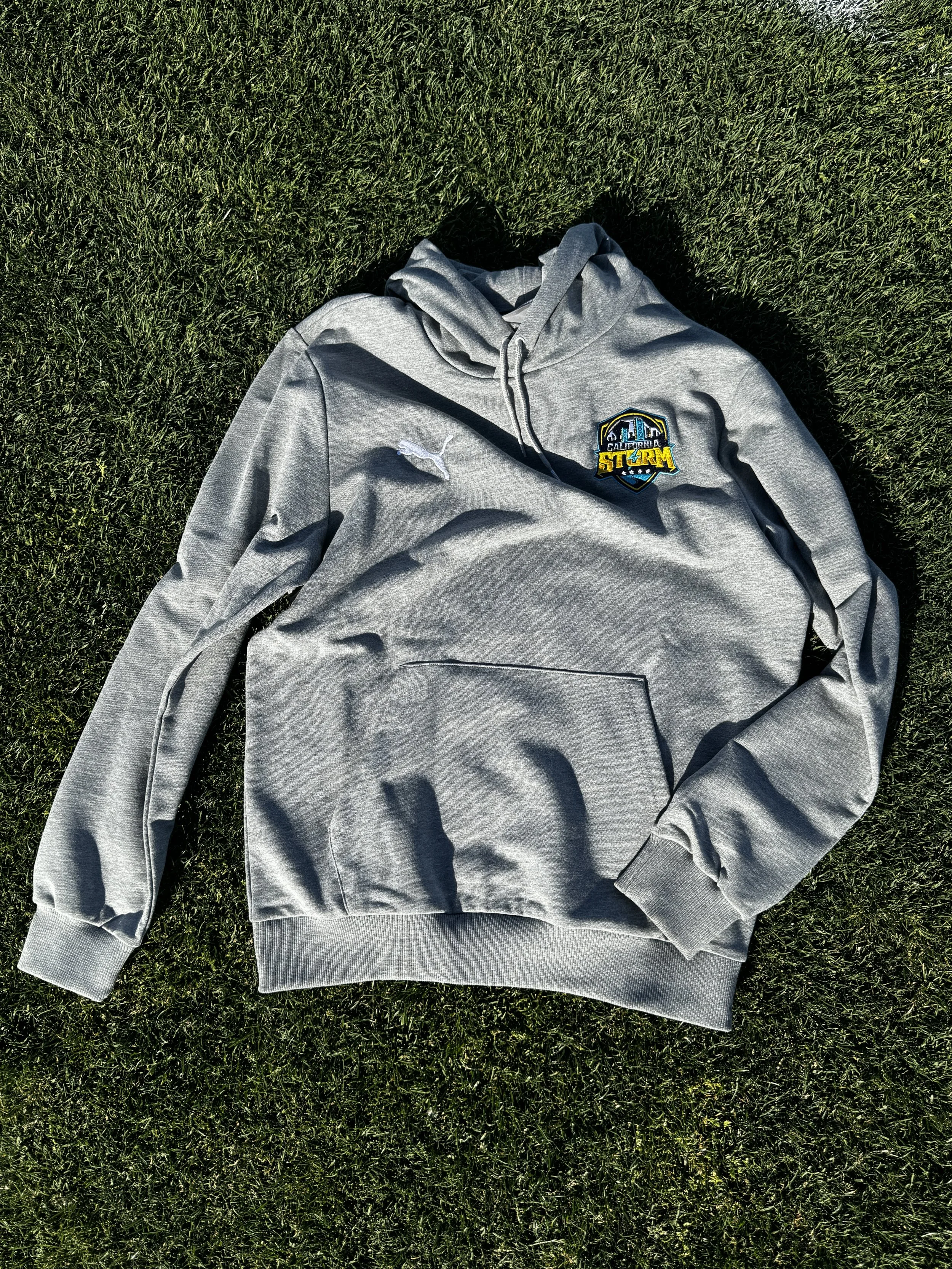Gray Hoodie with Embroidered Full Color Storm Logo