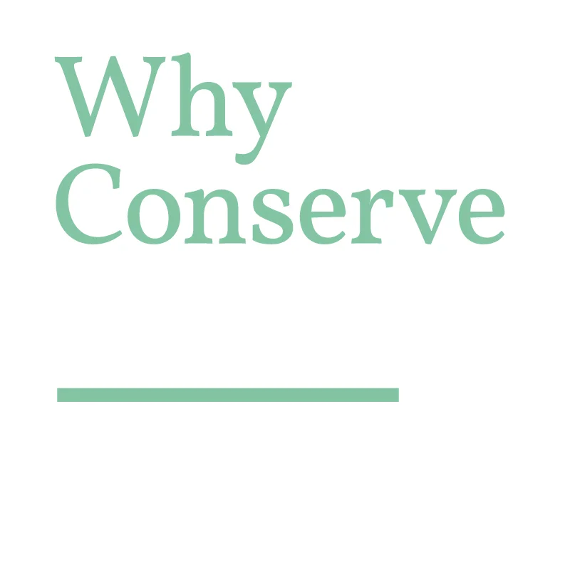Why-Conserve_-Youtube-Icon.jpg