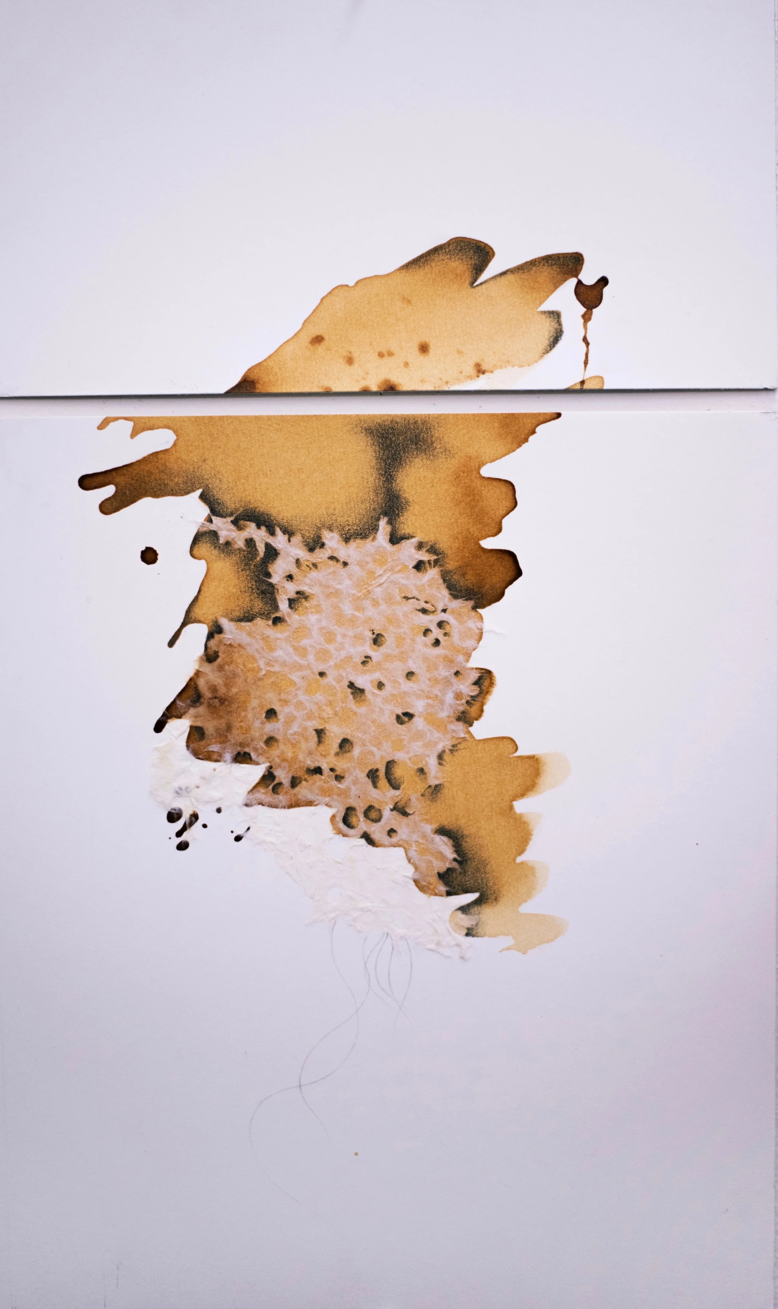 Ambiguous Response I